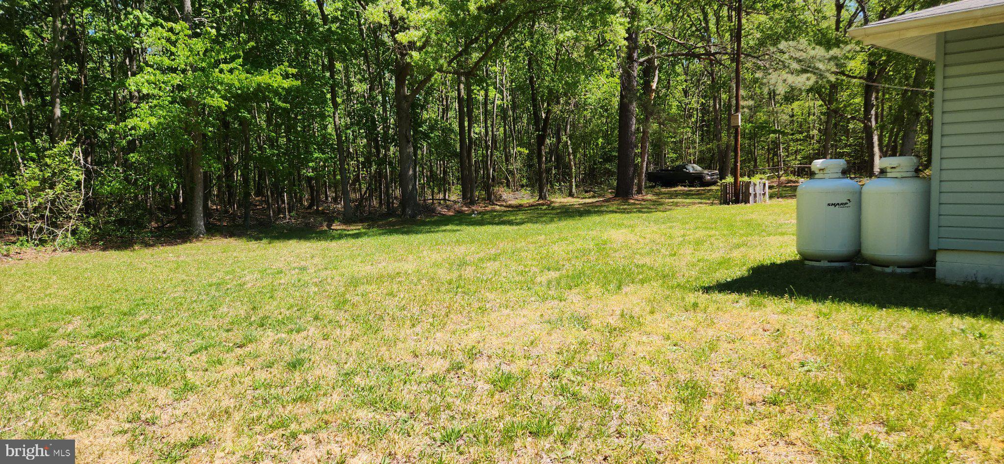 4310 Bethlehem Road Preston, MD 21655 - Photo 12 of 16 Serene green space by the woods.