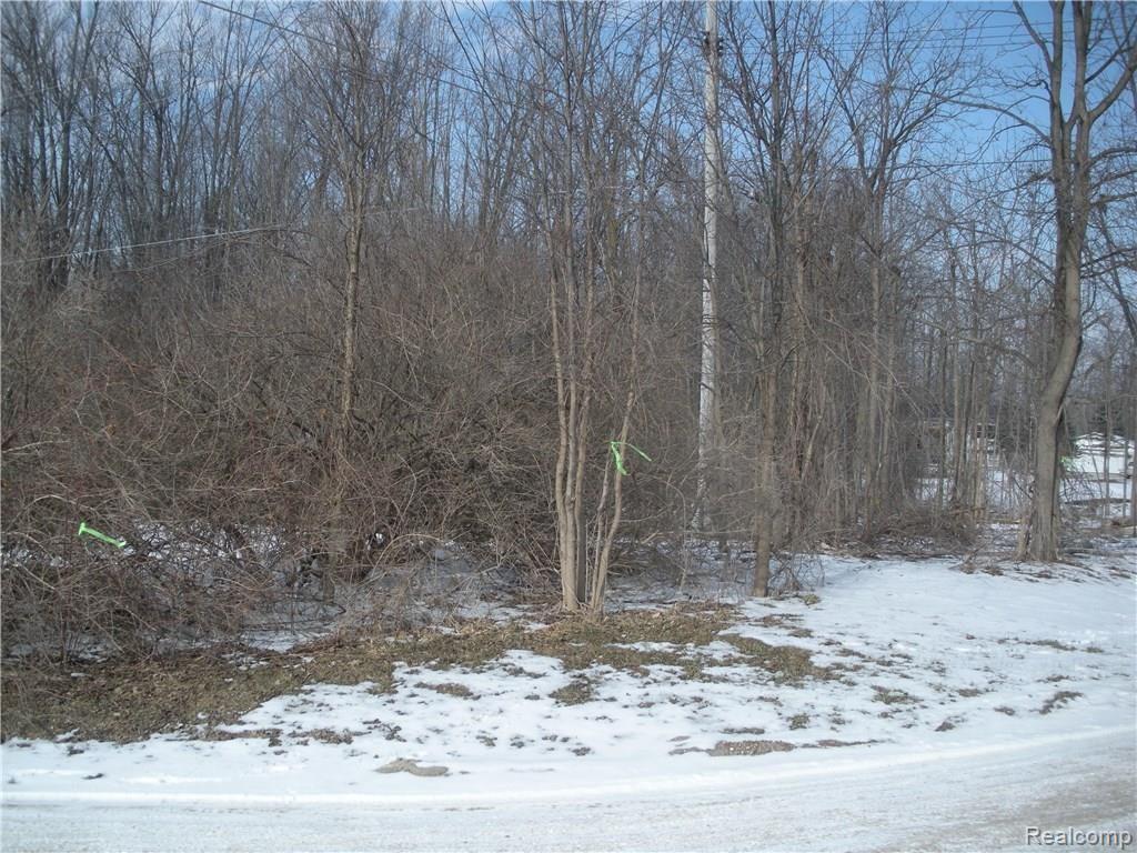 4340 Bishop Road Dryden, MI 48428 - Photo 33 of 35