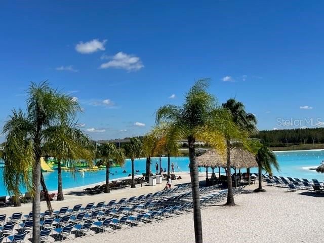 9610 Rally Spring Loop Wesley Chapel, FL 33545 - Photo 31 of 38 a row of palm trees and a fire pit with large trees