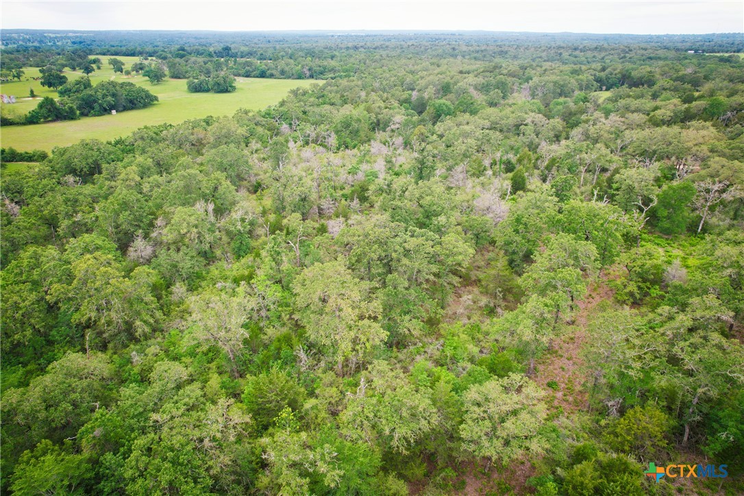 6 Ranches At Meadow Park Milano, TX 76556 - Photo 4 of 9 a view of a lush green forest with lush green forest
