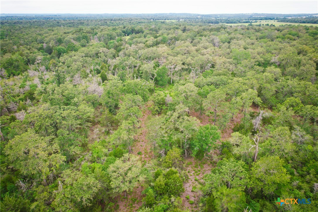 6 Ranches At Meadow Park Milano, TX 76556 - Photo 5 of 9 a view of a forest with a street