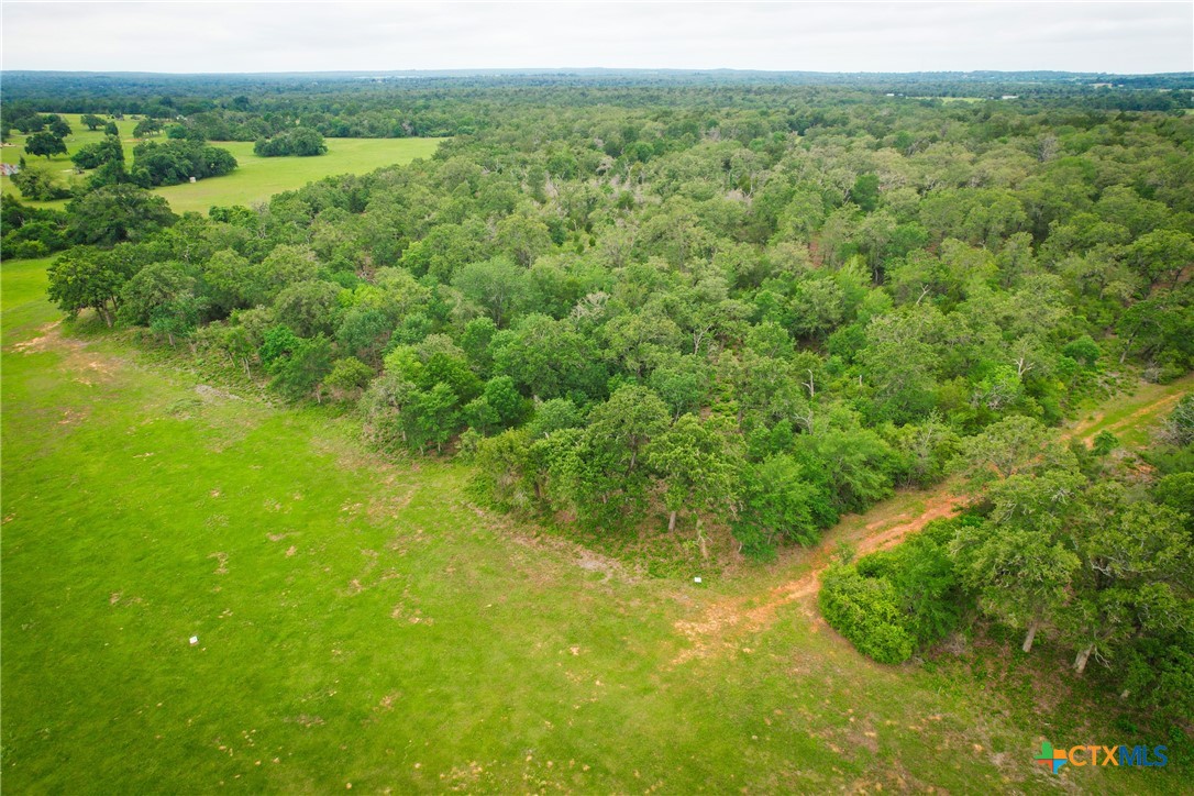 6 Ranches At Meadow Park Milano, TX 76556 - Photo 7 of 9 a view of a lush green forest with trees and some houses