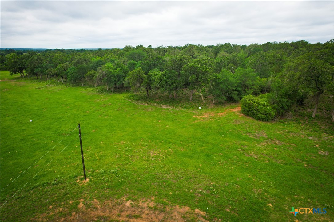 6 Ranches At Meadow Park Milano, TX 76556 - Photo 8 of 9 a backyard of a house with lots of green space