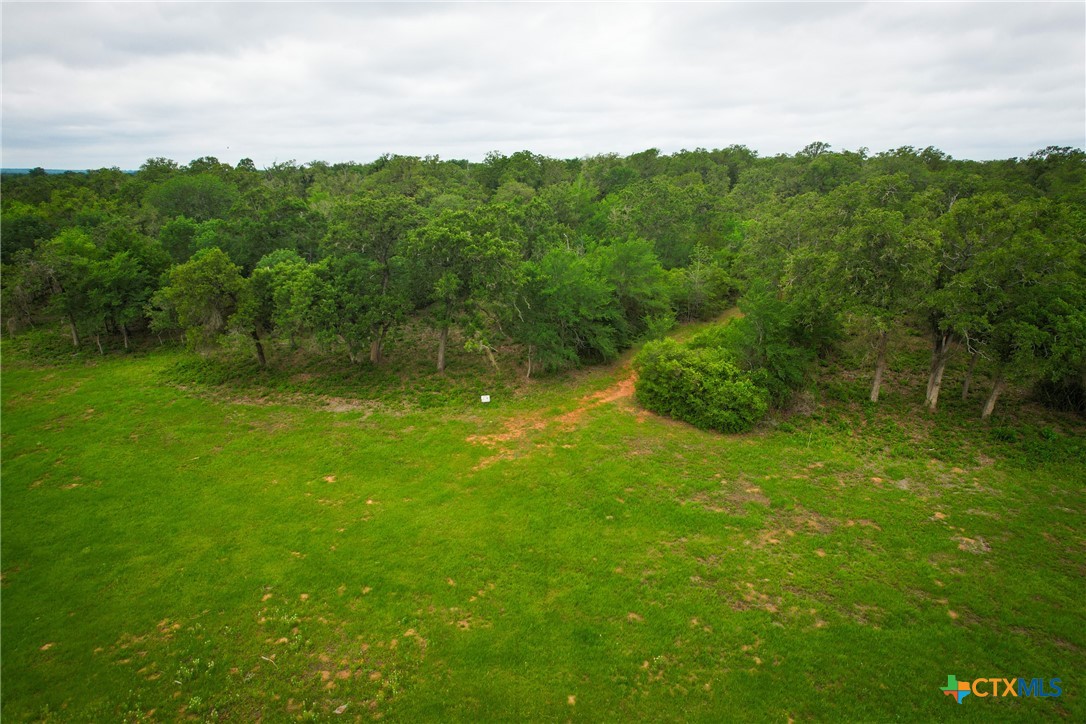 6 Ranches At Meadow Park Milano, TX 76556 - Photo 9 of 9 a view of a lush green space with sea