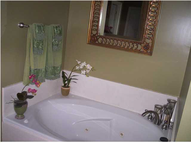 487 Cato Road Brandon, MS 39042 - Photo 11 of 17 Master Bathe-Jetted Tub