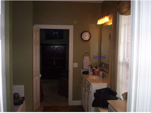 487 Cato Road Brandon, MS 39042 - Photo 12 of 17 Master Bathe-Double Vanity