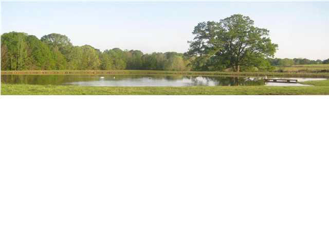 487 Cato Road Brandon, MS 39042 - Photo 17 of 17 Pasture/Pond