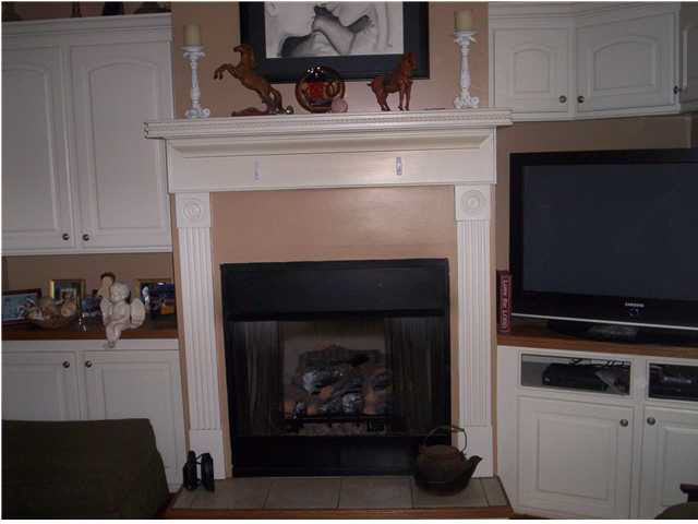 487 Cato Road Brandon, MS 39042 - Photo 3 of 17 Fireplace