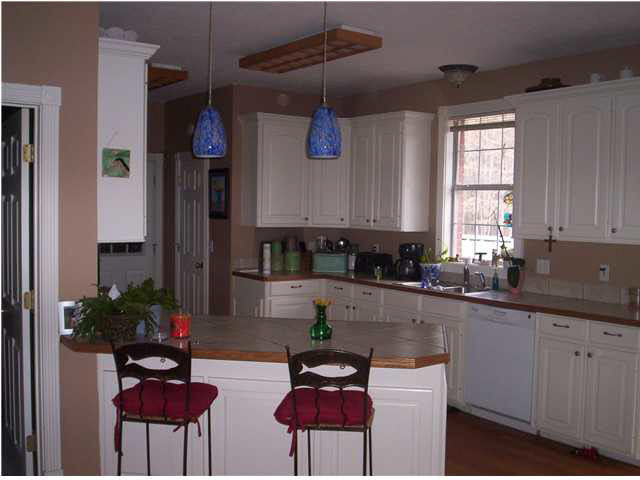 487 Cato Road Brandon, MS 39042 - Photo 4 of 17 Breakfast Bar