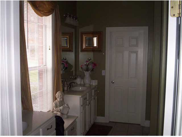487 Cato Road Brandon, MS 39042 - Photo 10 of 17 Master Bathe