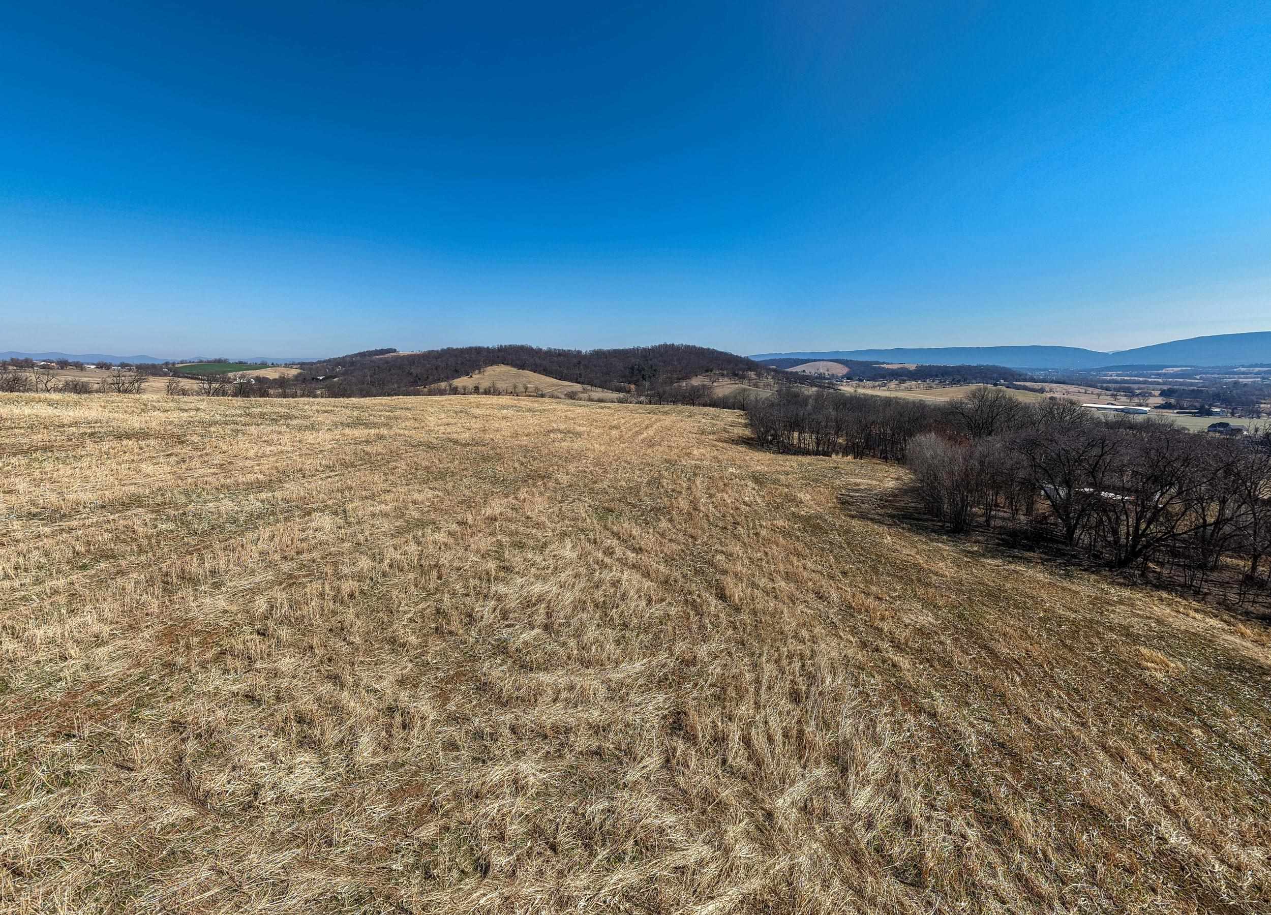 0 Neighbors Lane Timberville, VA 22853 - Photo 17 of 64