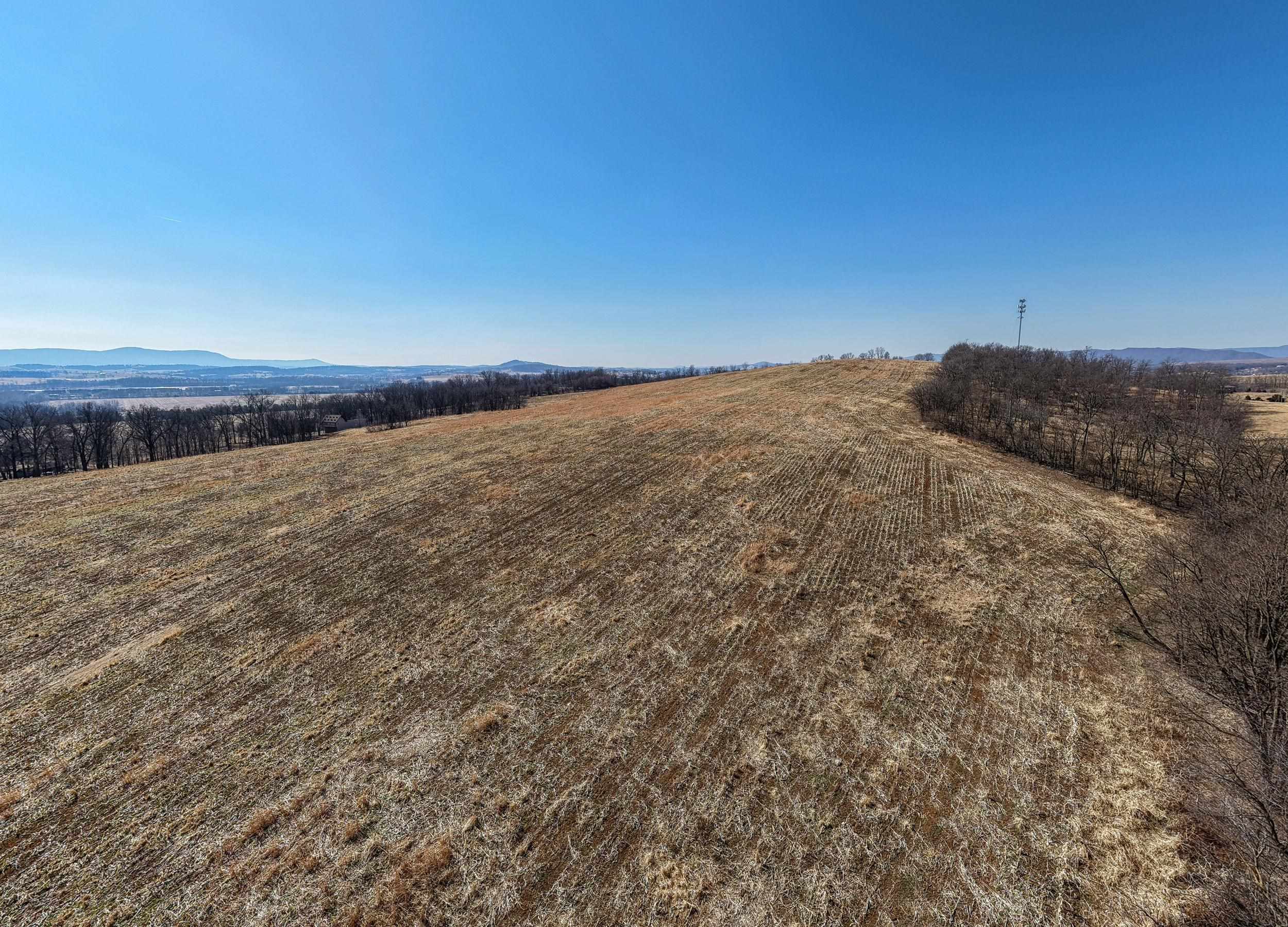 0 Neighbors Lane Timberville, VA 22853 - Photo 20 of 64