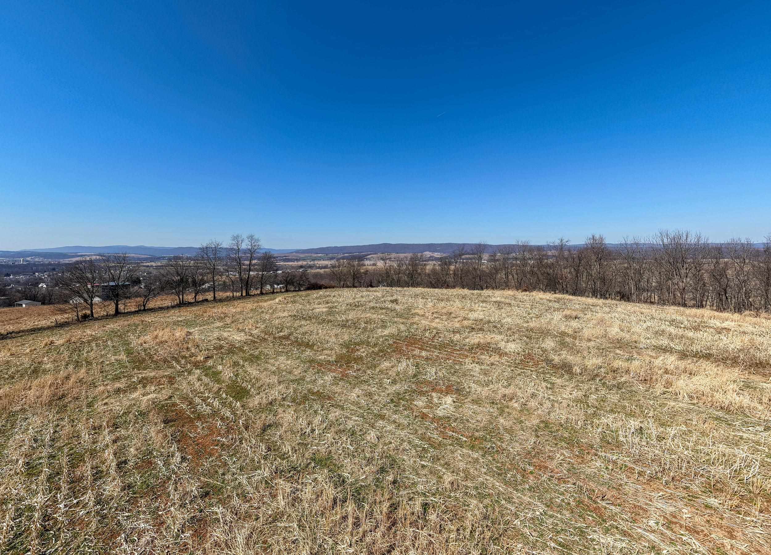 0 Neighbors Lane Timberville, VA 22853 - Photo 24 of 64