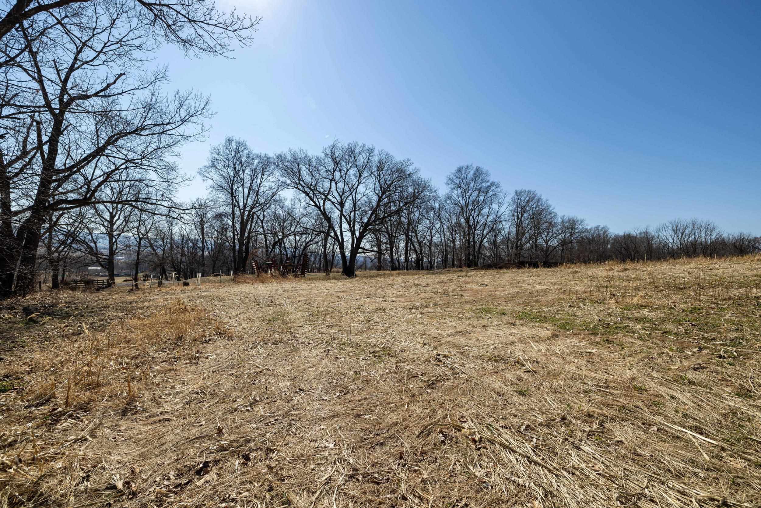 0 Neighbors Lane Timberville, VA 22853 - Photo 26 of 64