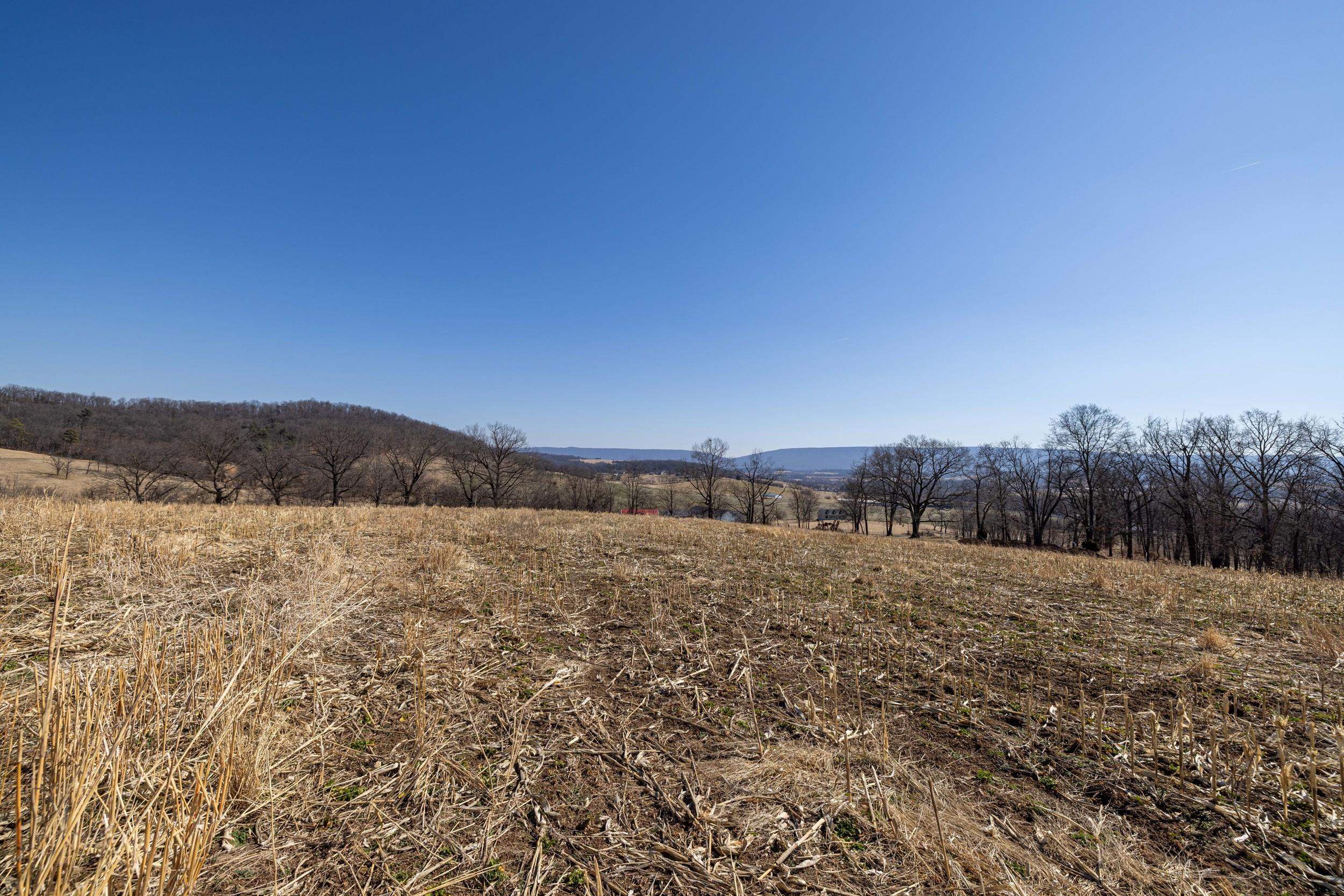0 Neighbors Lane Timberville, VA 22853 - Photo 31 of 64