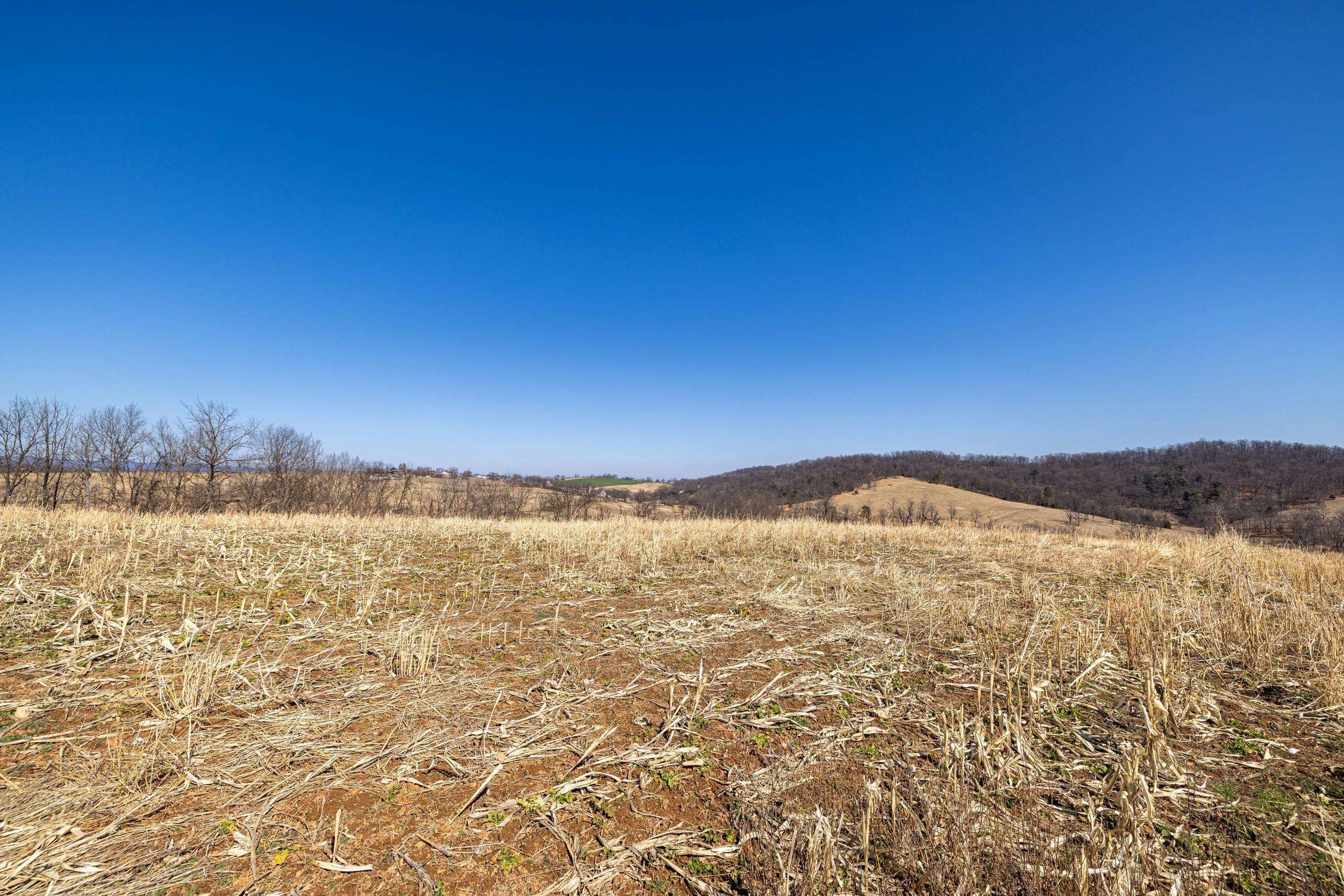 0 Neighbors Lane Timberville, VA 22853 - Photo 32 of 64