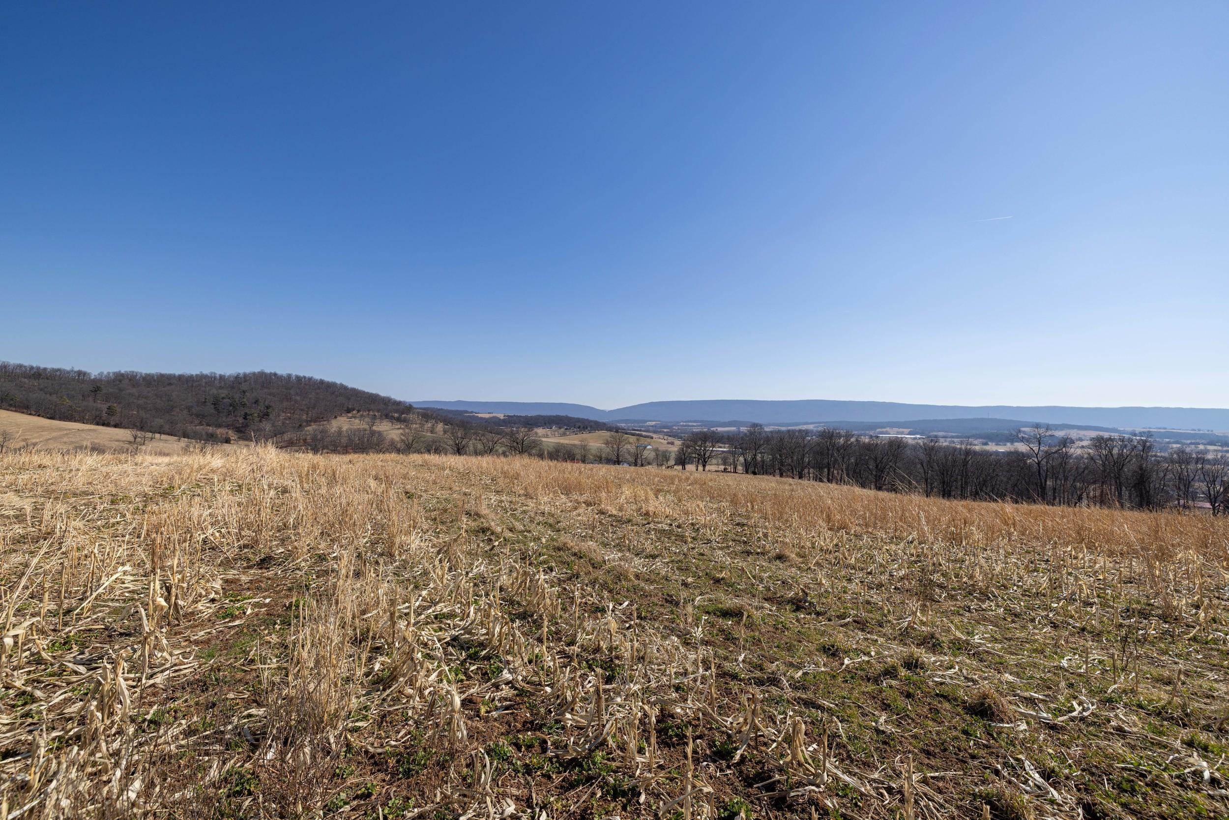 0 Neighbors Lane Timberville, VA 22853 - Photo 33 of 64
