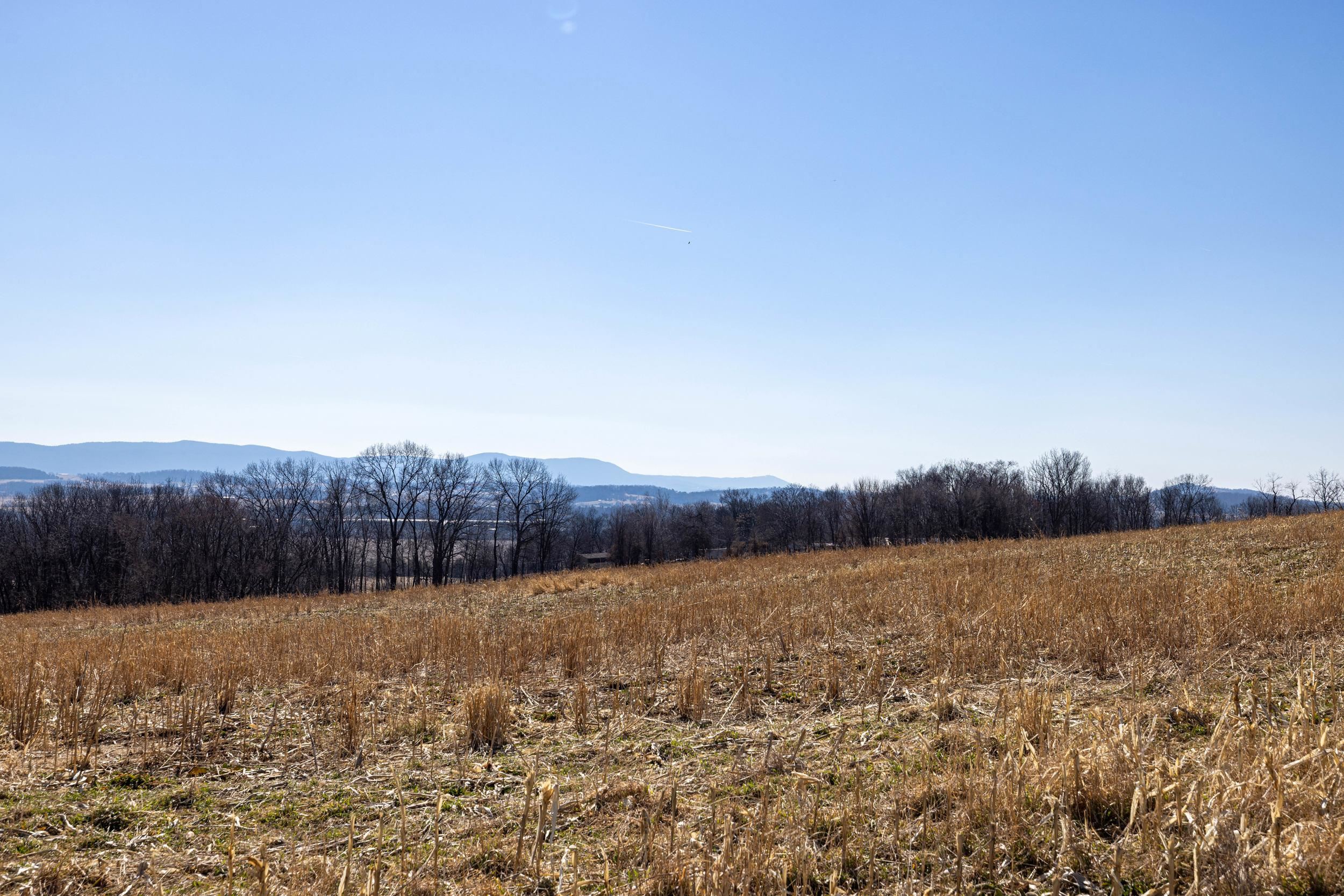 0 Neighbors Lane Timberville, VA 22853 - Photo 35 of 64