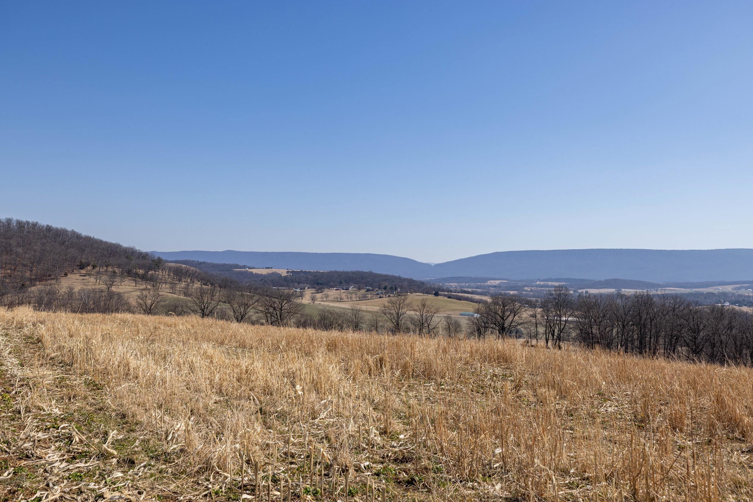 0 Neighbors Lane Timberville, VA 22853 - Photo 36 of 64