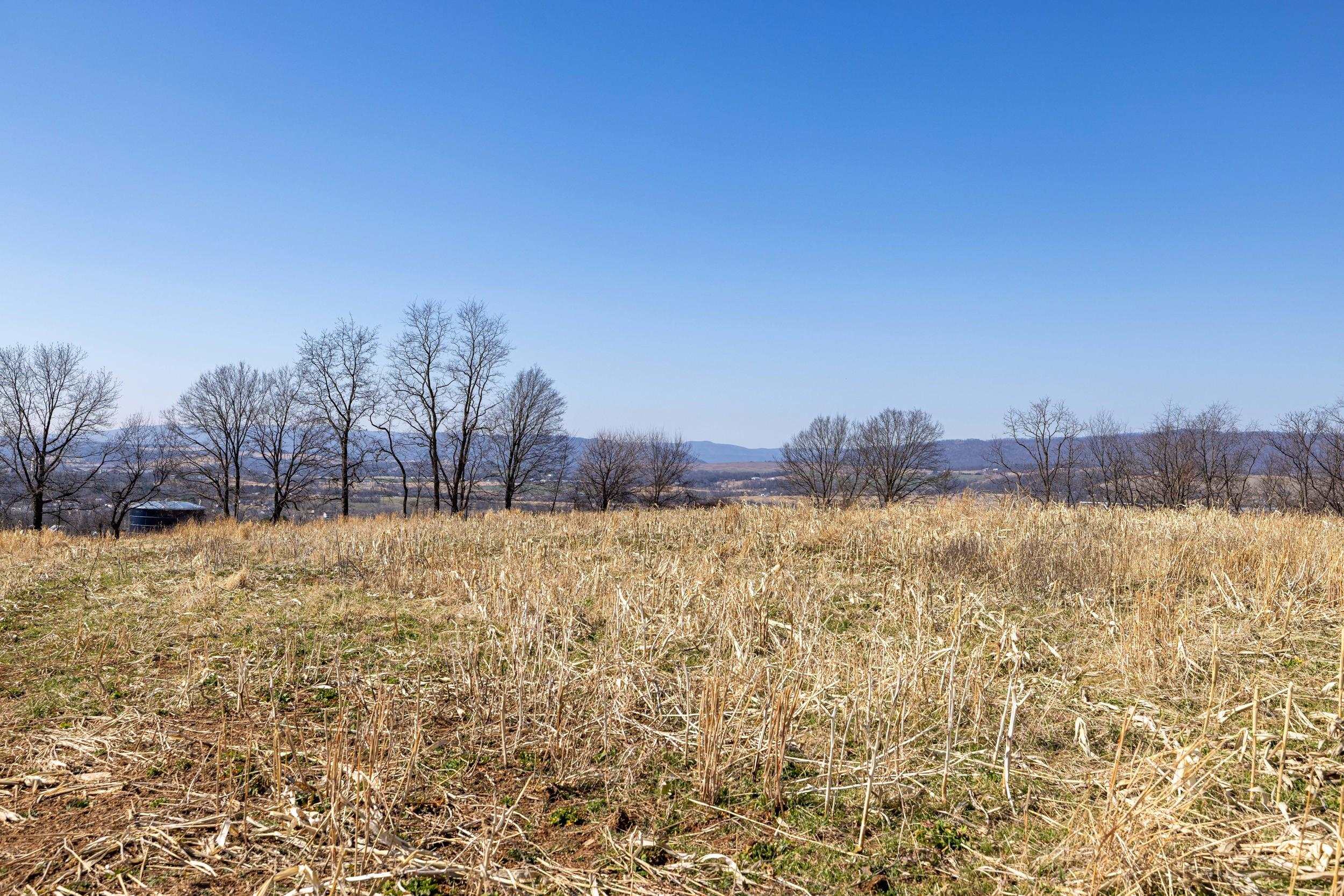 0 Neighbors Lane Timberville, VA 22853 - Photo 37 of 64