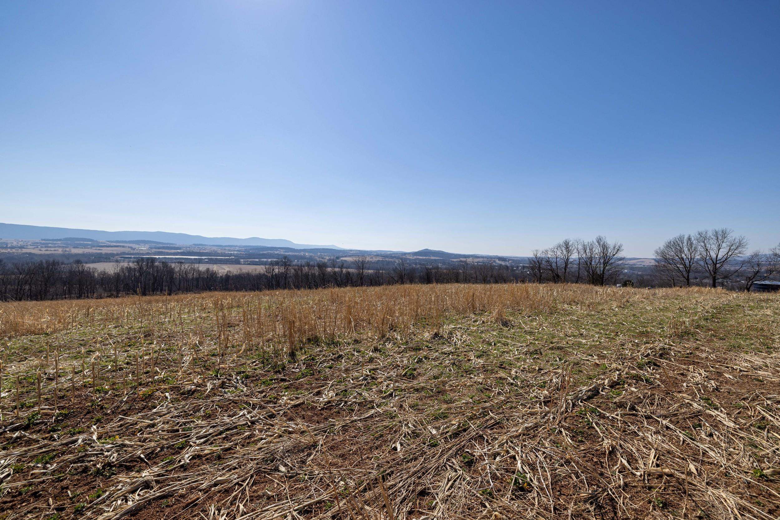 0 Neighbors Lane Timberville, VA 22853 - Photo 38 of 64