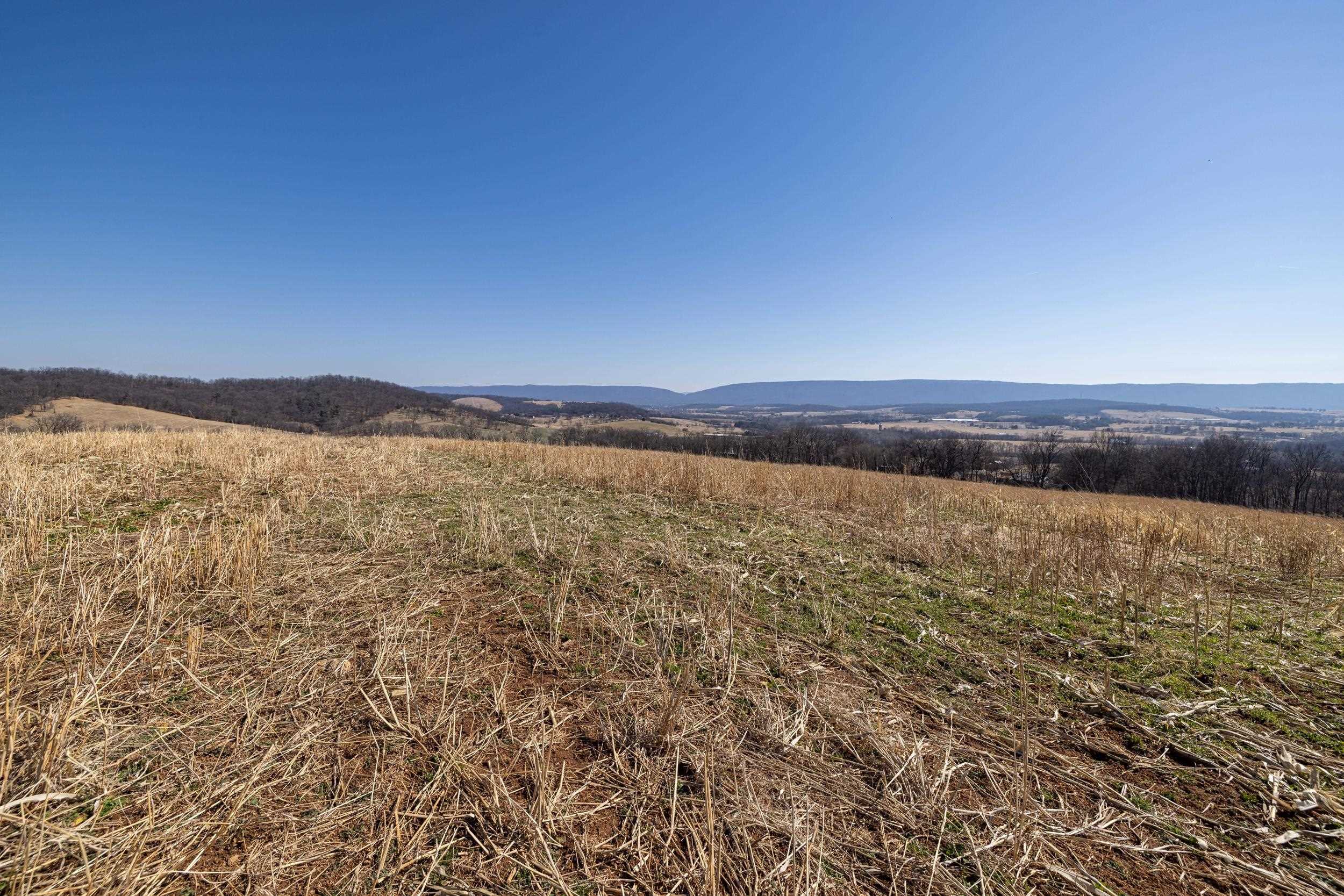 0 Neighbors Lane Timberville, VA 22853 - Photo 41 of 64