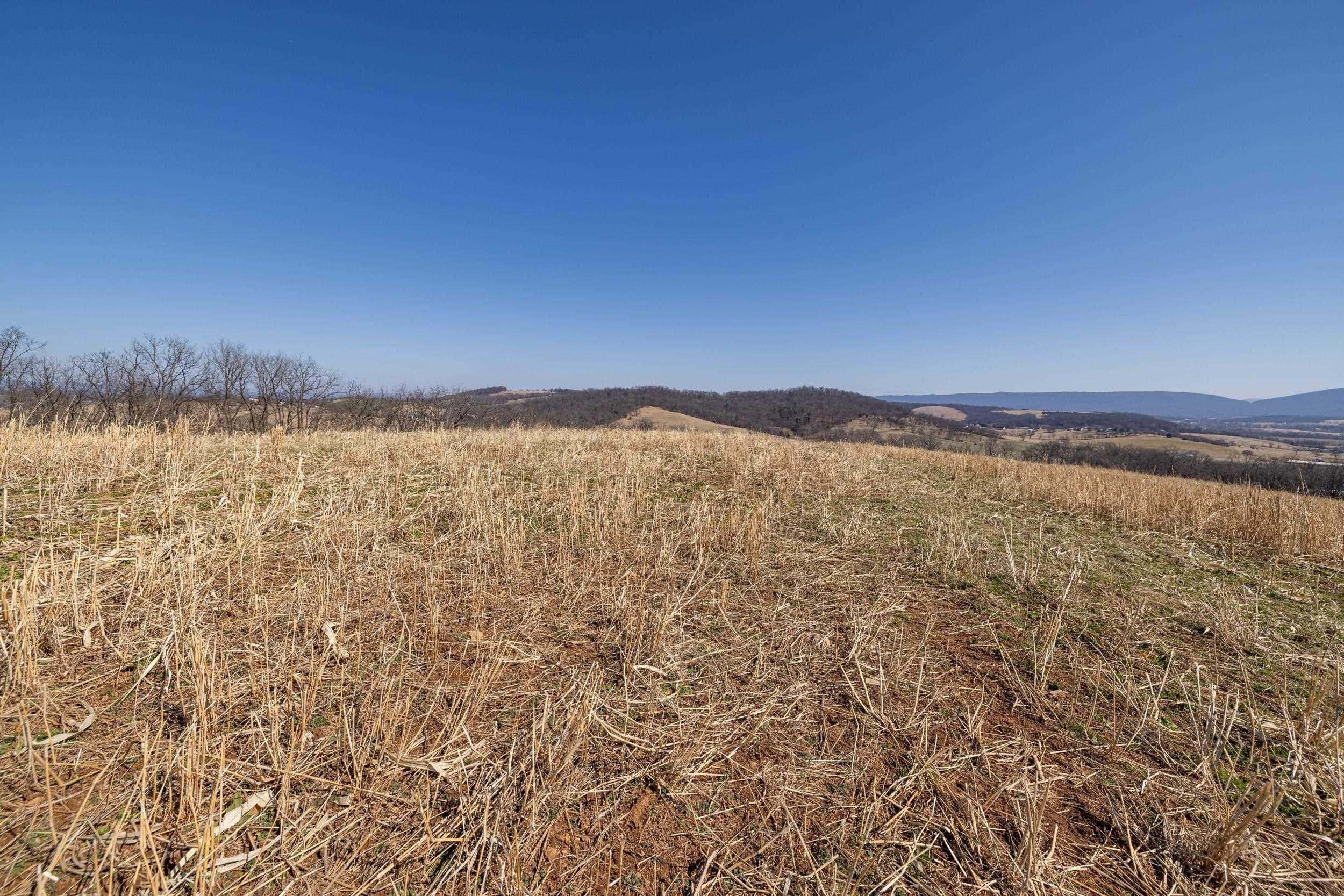 0 Neighbors Lane Timberville, VA 22853 - Photo 43 of 64