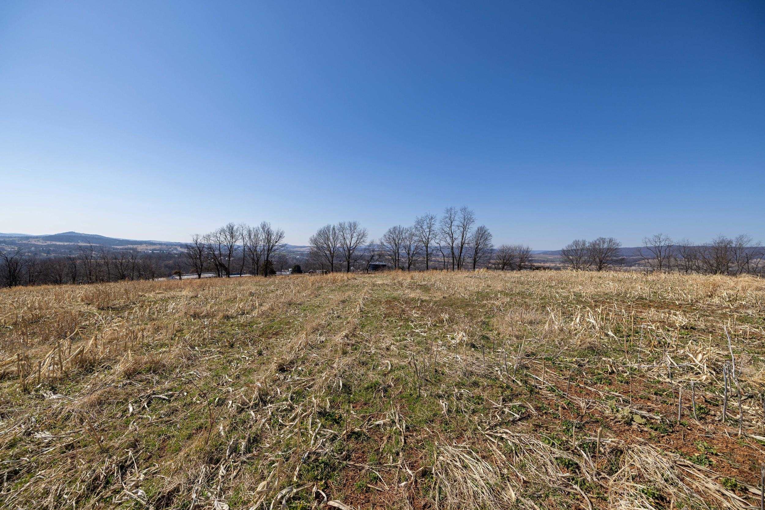 0 Neighbors Lane Timberville, VA 22853 - Photo 44 of 64