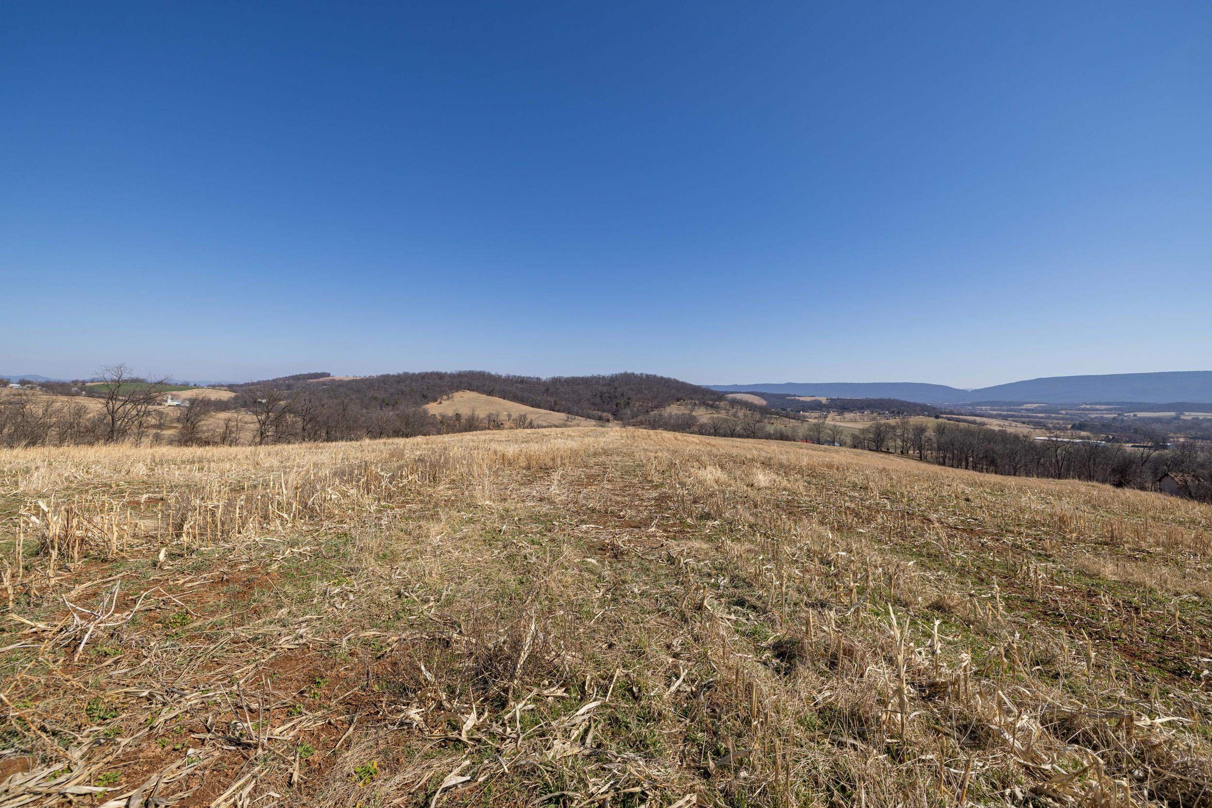 0 Neighbors Lane Timberville, VA 22853 - Photo 45 of 64