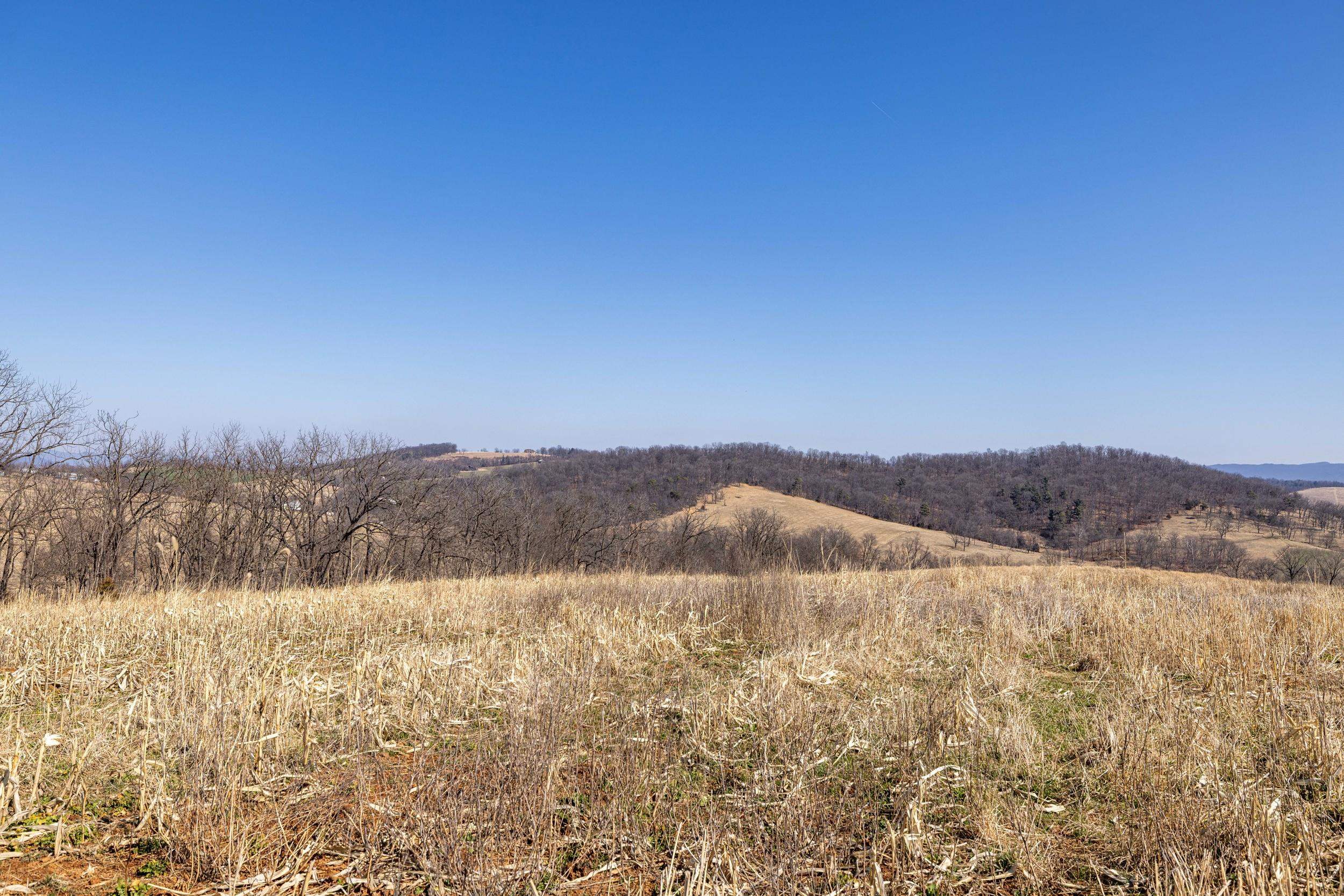 0 Neighbors Lane Timberville, VA 22853 - Photo 46 of 64
