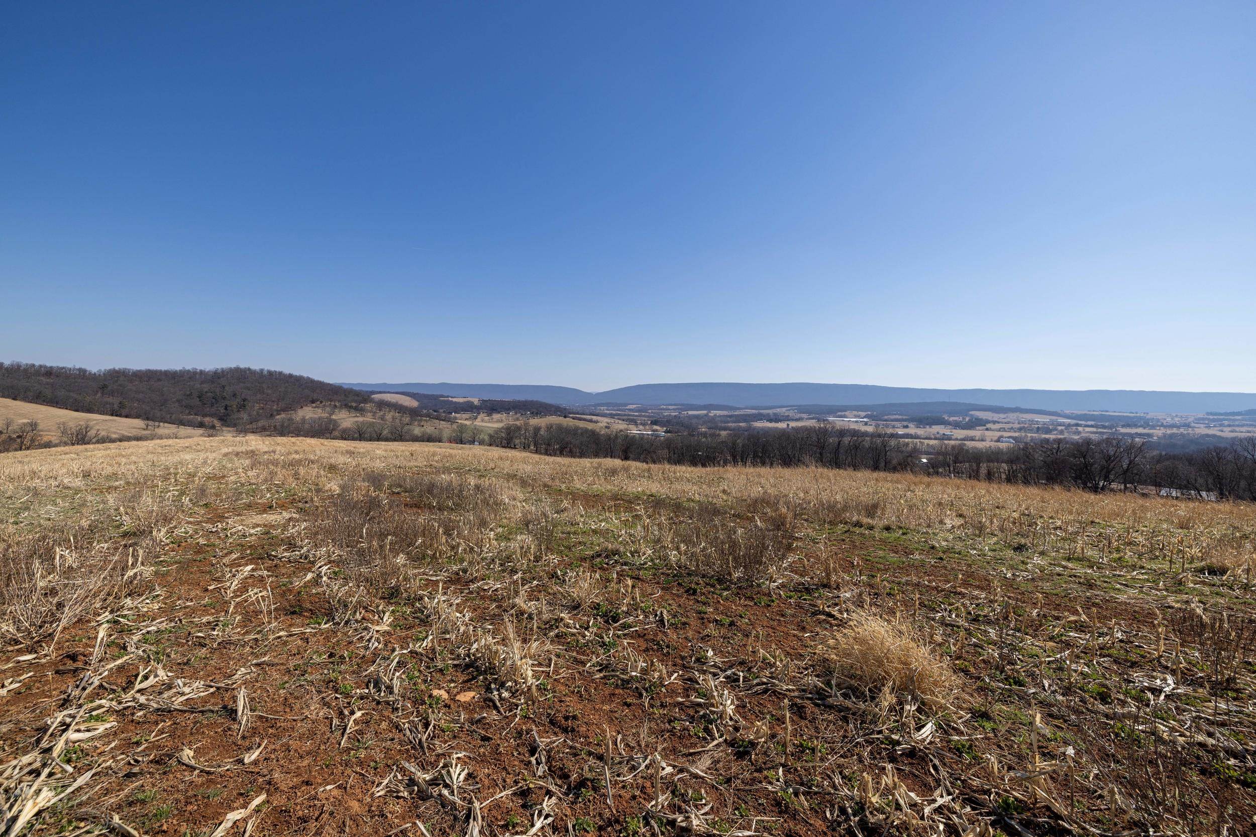 0 Neighbors Lane Timberville, VA 22853 - Photo 47 of 64