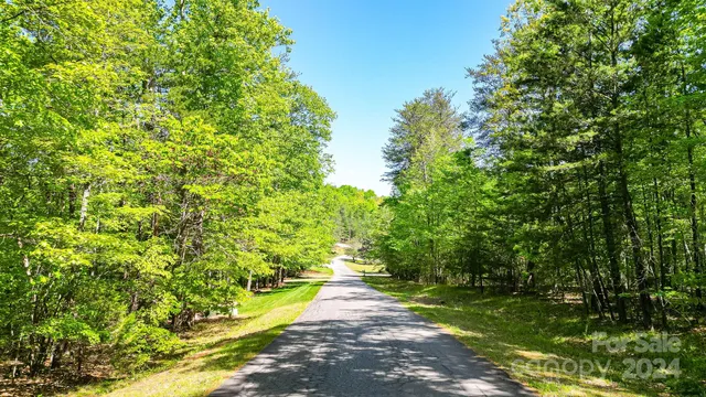 a view of a pathway of a park