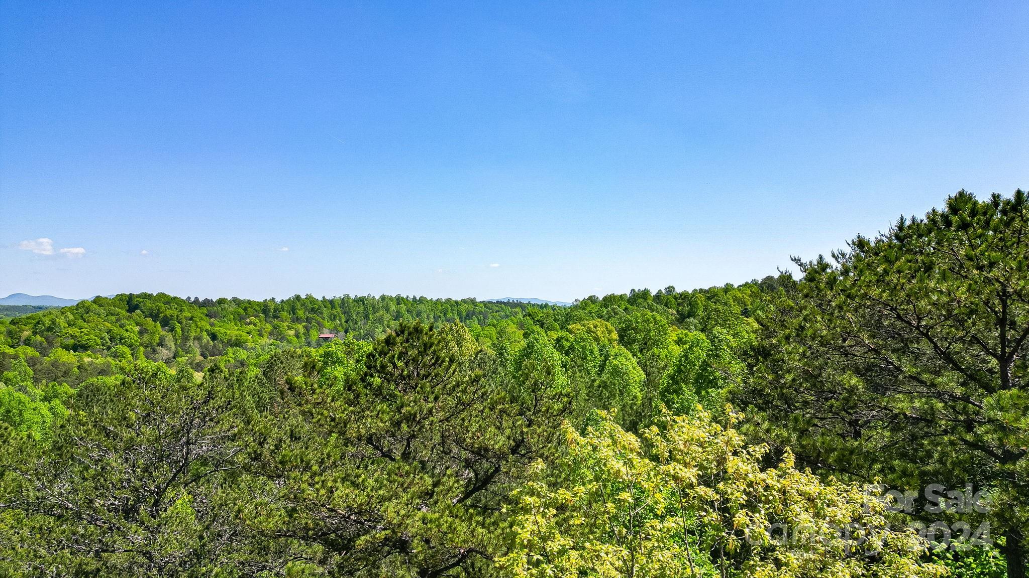 0 West Wt Wilkins Road, Unit 11 Rutherfordton, NC 28139 - Photo 11 of 24 a view of a lush green space