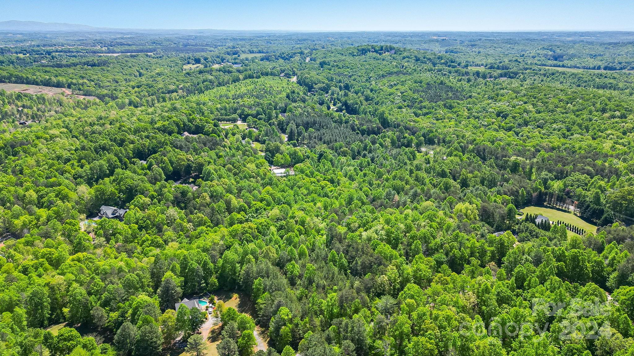 0 West Wt Wilkins Road, Unit 11 Rutherfordton, NC 28139 - Photo 12 of 24 a view of a lush green forest with trees in the background