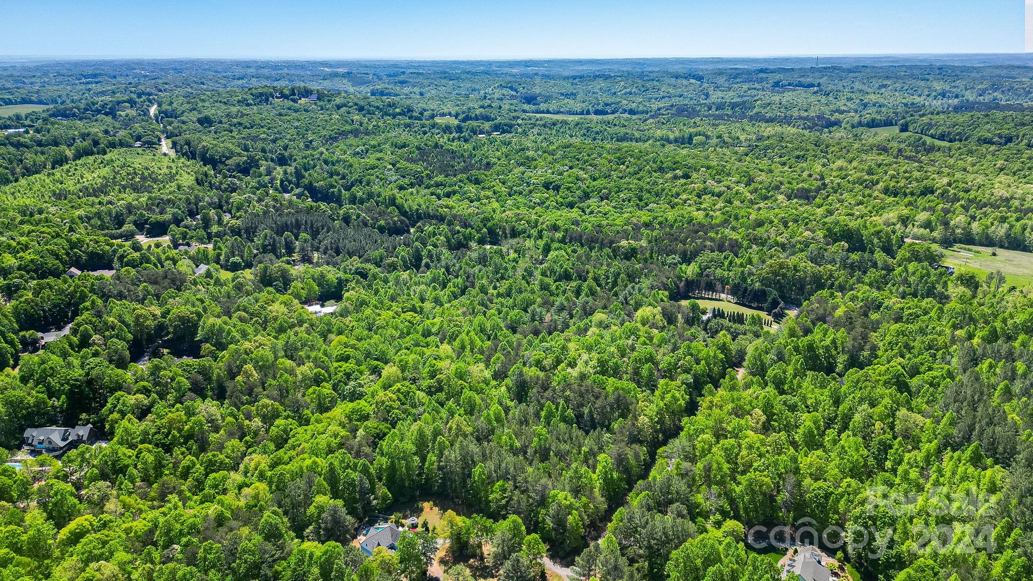 0 West Wt Wilkins Road, Unit 11 Rutherfordton, NC 28139 - Photo 13 of 24 a view of a lush green forest with trees and some houses