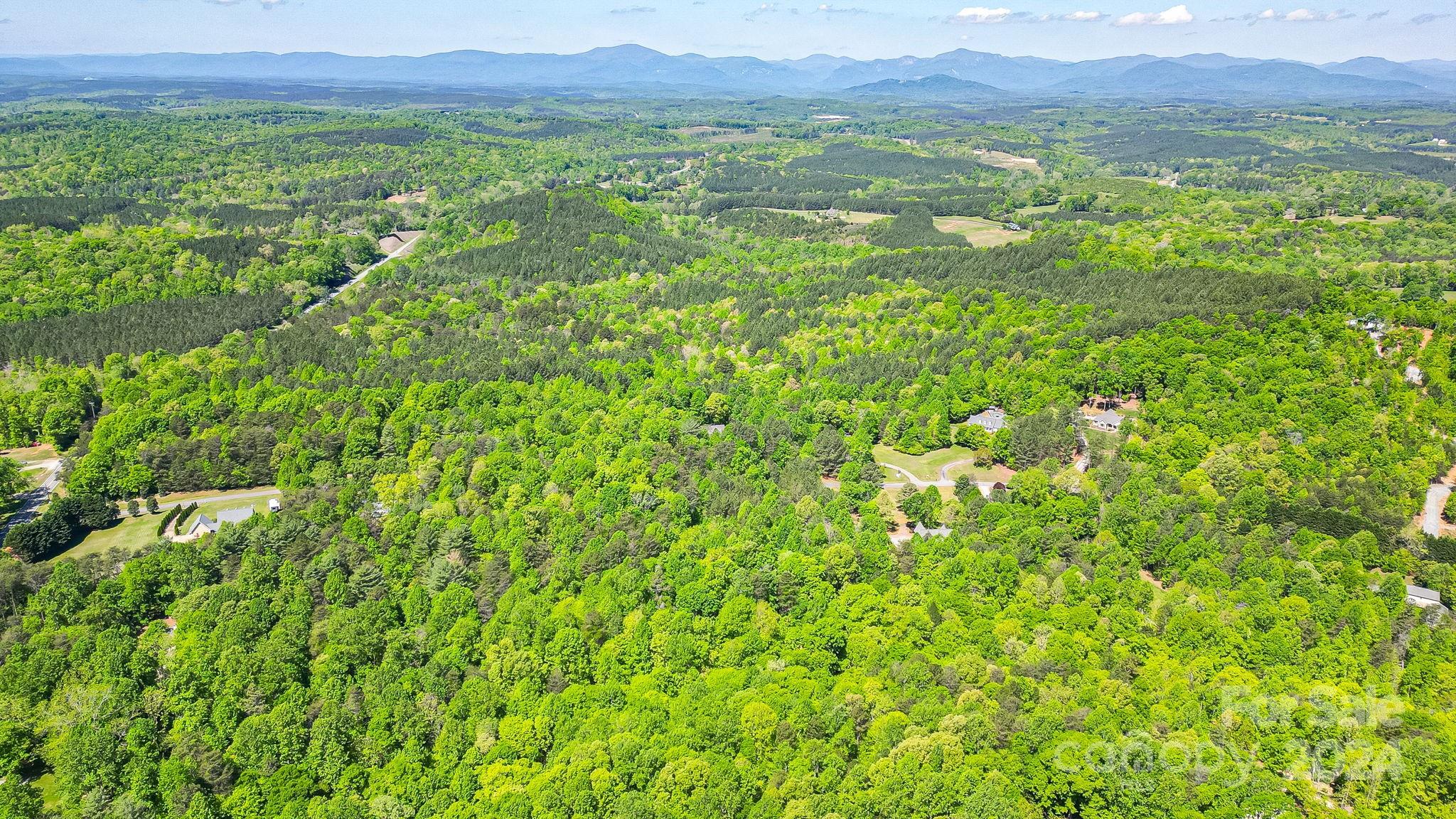 0 West Wt Wilkins Road, Unit 11 Rutherfordton, NC 28139 - Photo 16 of 24 a view of a lush green field with lots of plants in the background