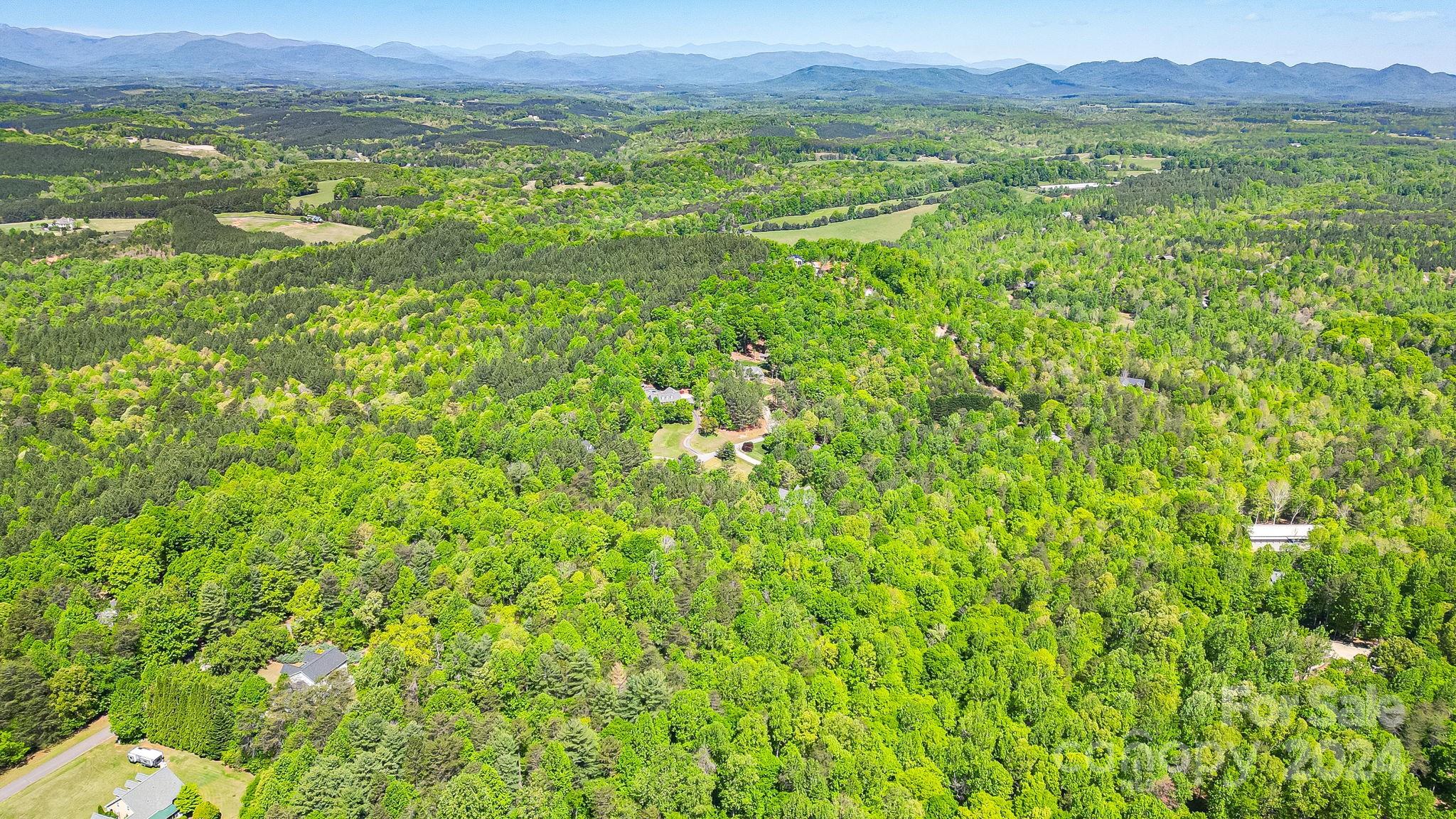 0 West Wt Wilkins Road, Unit 11 Rutherfordton, NC 28139 - Photo 17 of 24 a view of a lush green field with lots of bushes