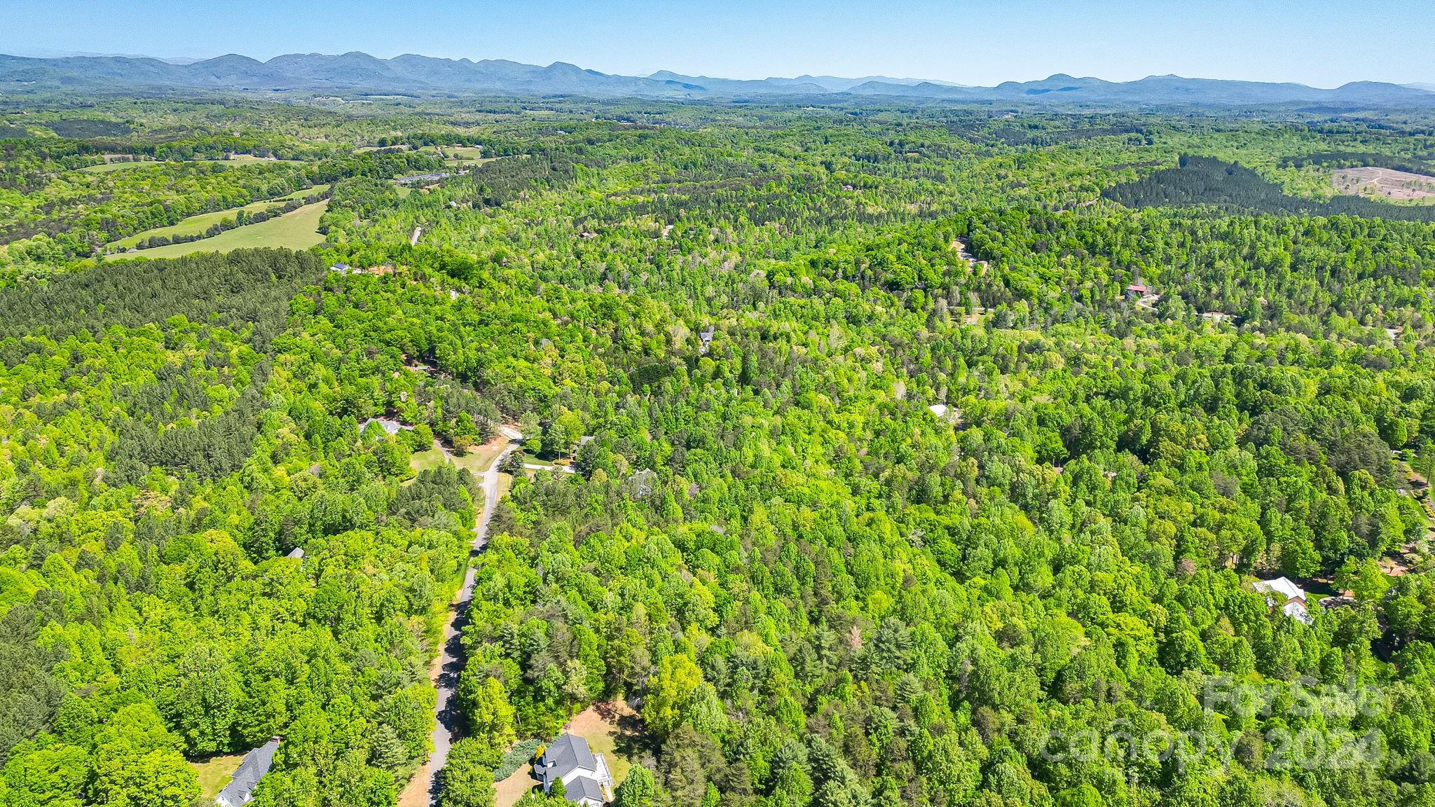 0 West Wt Wilkins Road, Unit 11 Rutherfordton, NC 28139 - Photo 18 of 24 a view of a lush green forest with trees and some houses