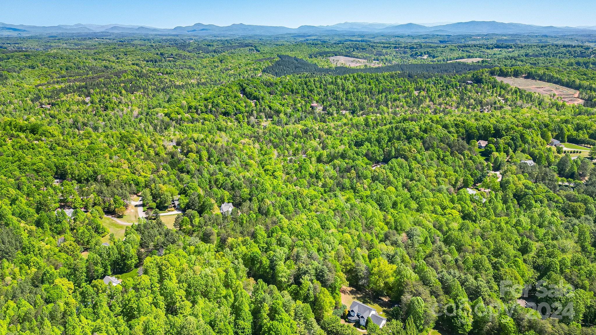 0 West Wt Wilkins Road, Unit 11 Rutherfordton, NC 28139 - Photo 19 of 24 a view of a lush green forest with trees and some houses