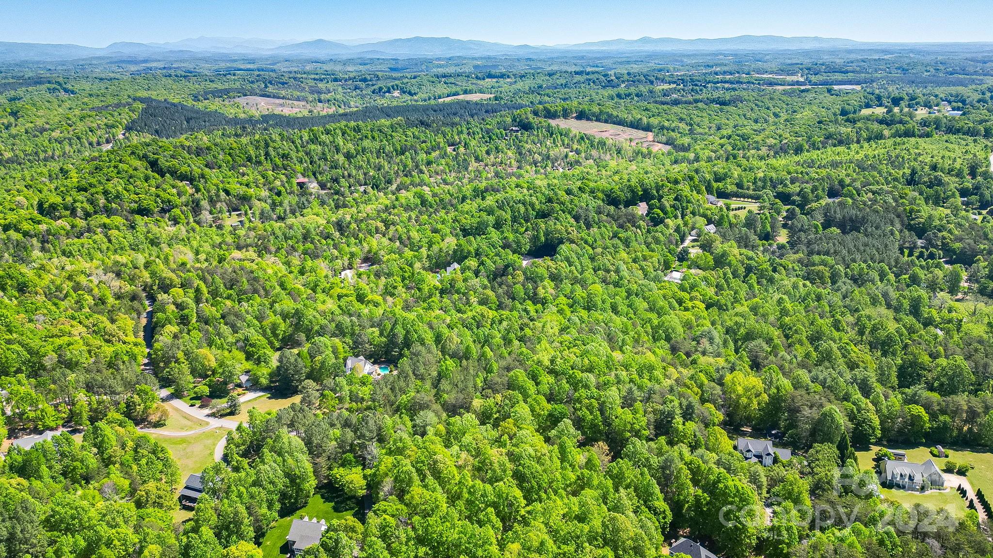 0 West Wt Wilkins Road, Unit 11 Rutherfordton, NC 28139 - Photo 20 of 24 a view of a lush green field with lots of bushes