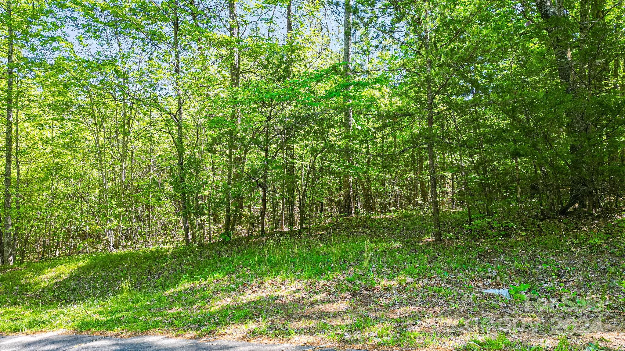 0 West Wt Wilkins Road, Unit 11 Rutherfordton, NC 28139 - Photo 2 of 24 a view of yard