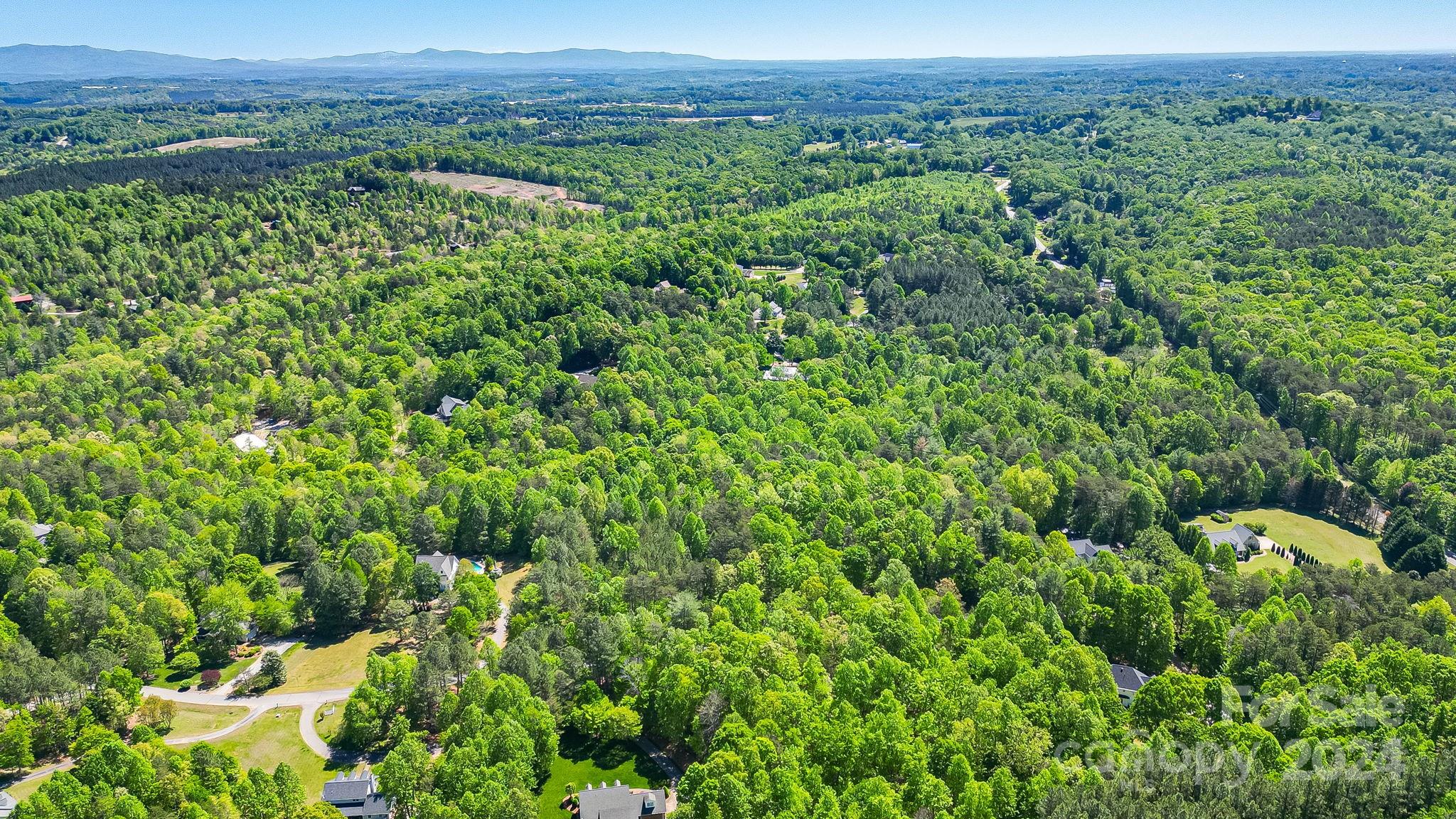 0 West Wt Wilkins Road, Unit 11 Rutherfordton, NC 28139 - Photo 21 of 24 a view of a lush green forest with trees in the background