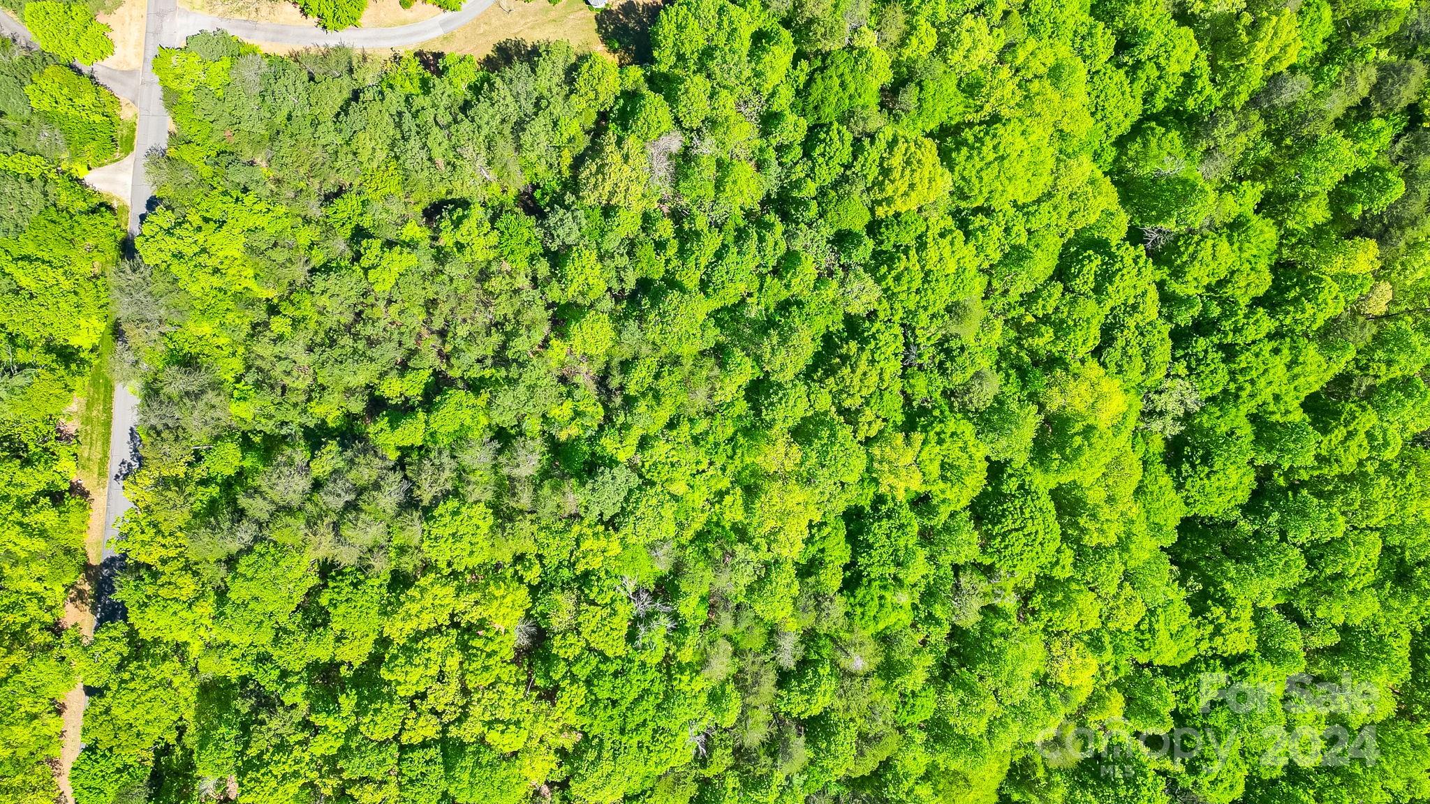 0 West Wt Wilkins Road, Unit 11 Rutherfordton, NC 28139 - Photo 22 of 24 a view of a lush green space