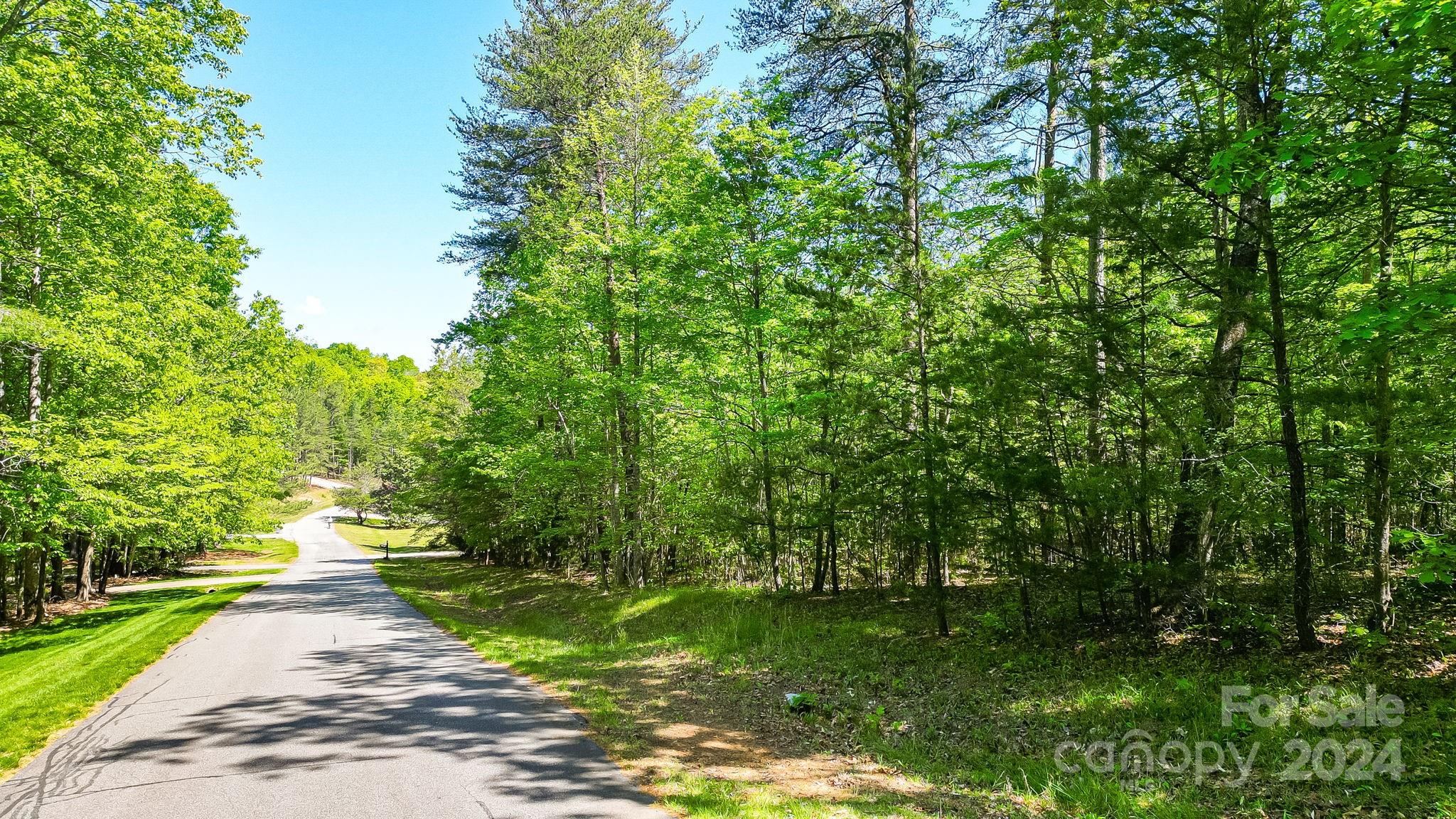 0 West Wt Wilkins Road, Unit 11 Rutherfordton, NC 28139 - Photo 23 of 24 a view of street view with outdoor space