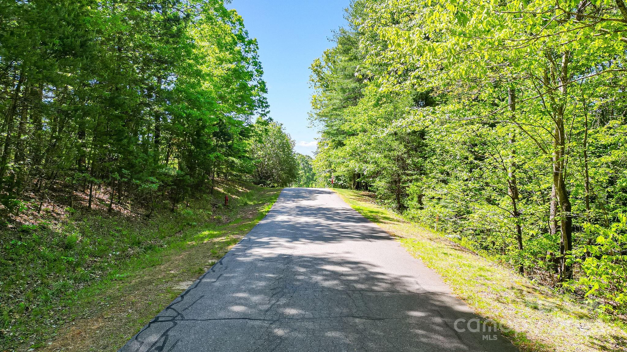 0 West Wt Wilkins Road, Unit 11 Rutherfordton, NC 28139 - Photo 24 of 24 a view of a pathway both side of yard