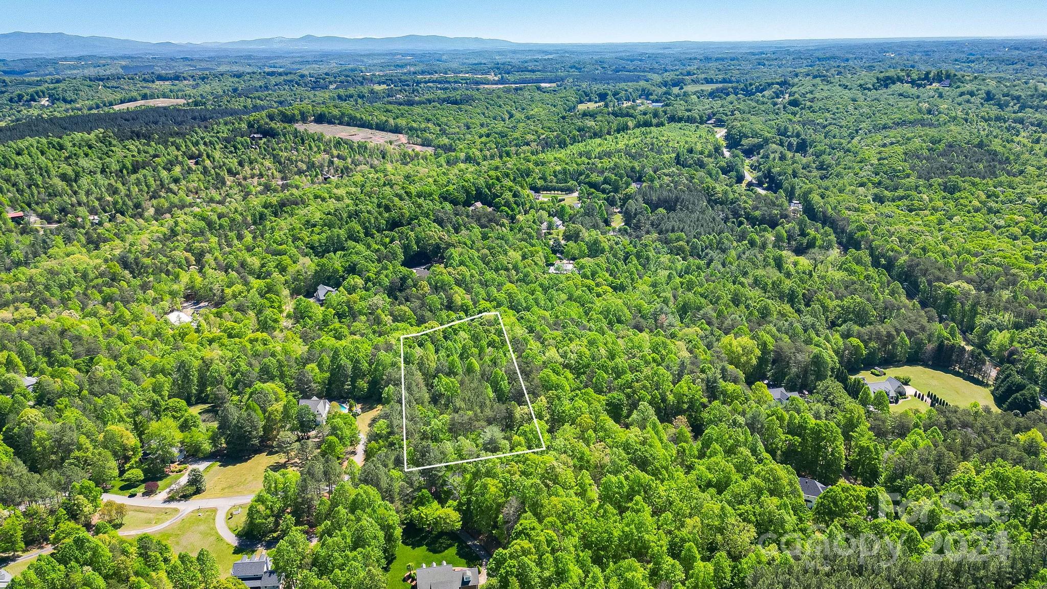 0 West Wt Wilkins Road, Unit 11 Rutherfordton, NC 28139 - Photo 4 of 24 a view of a lush green forest with trees in the background