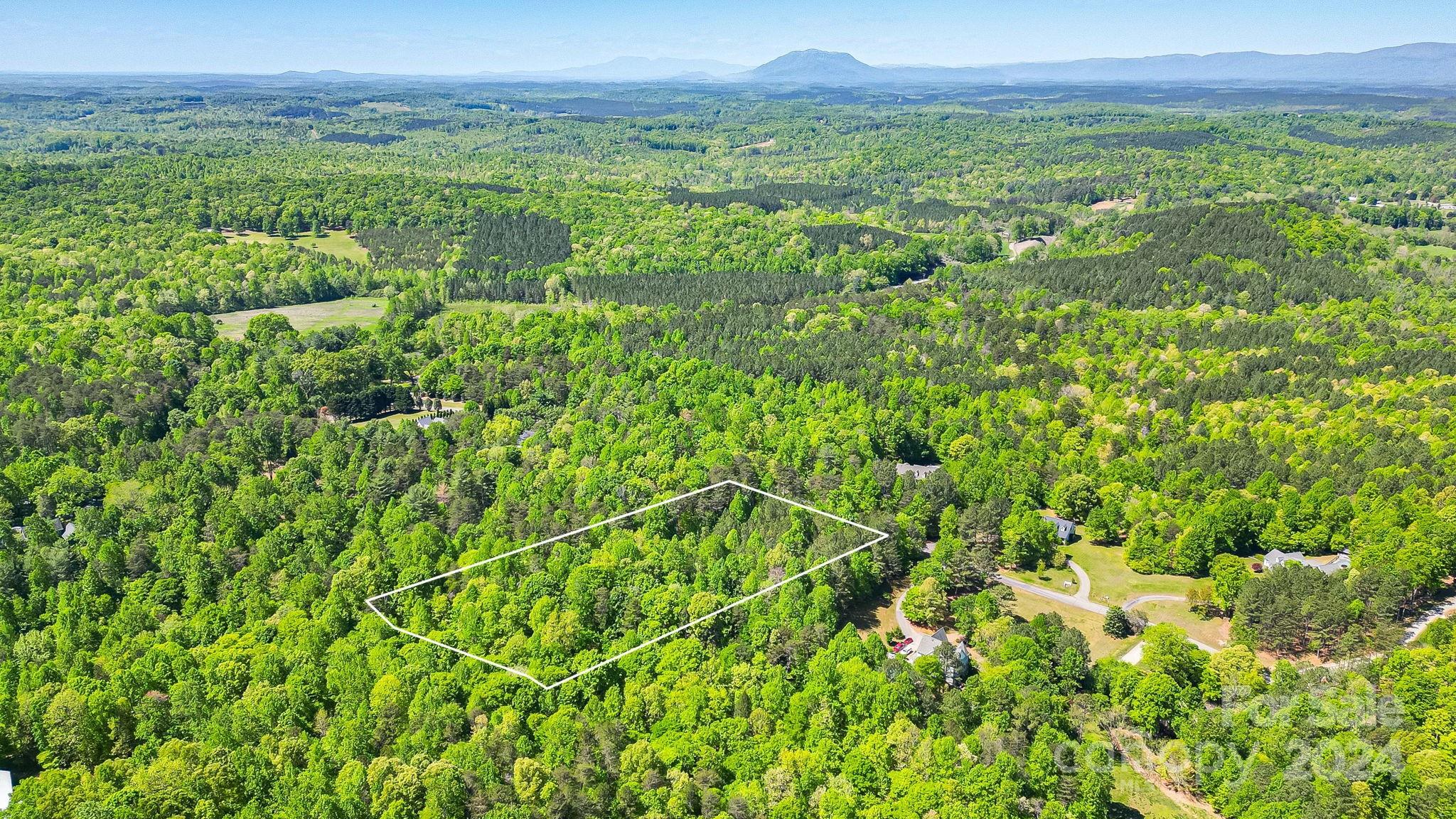 0 West Wt Wilkins Road, Unit 11 Rutherfordton, NC 28139 - Photo 6 of 24 a view of a lush green forest with trees and some houses