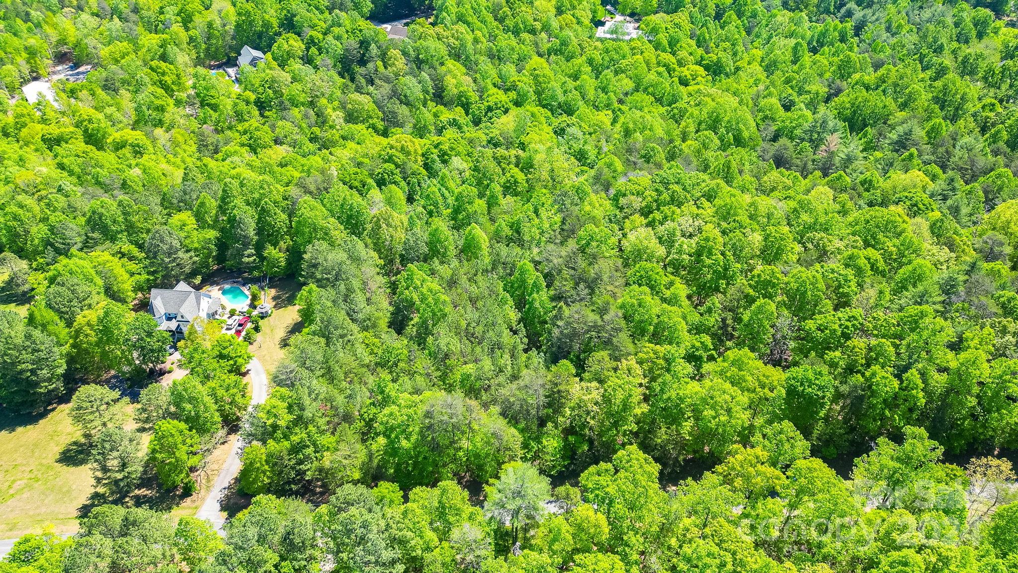 0 West Wt Wilkins Road, Unit 11 Rutherfordton, NC 28139 - Photo 8 of 24 a view of a lush green forest