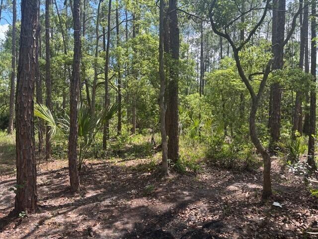 0 Dahlia Road DeLand, FL 32724 - Photo 1 of 3 dpe3nosign1