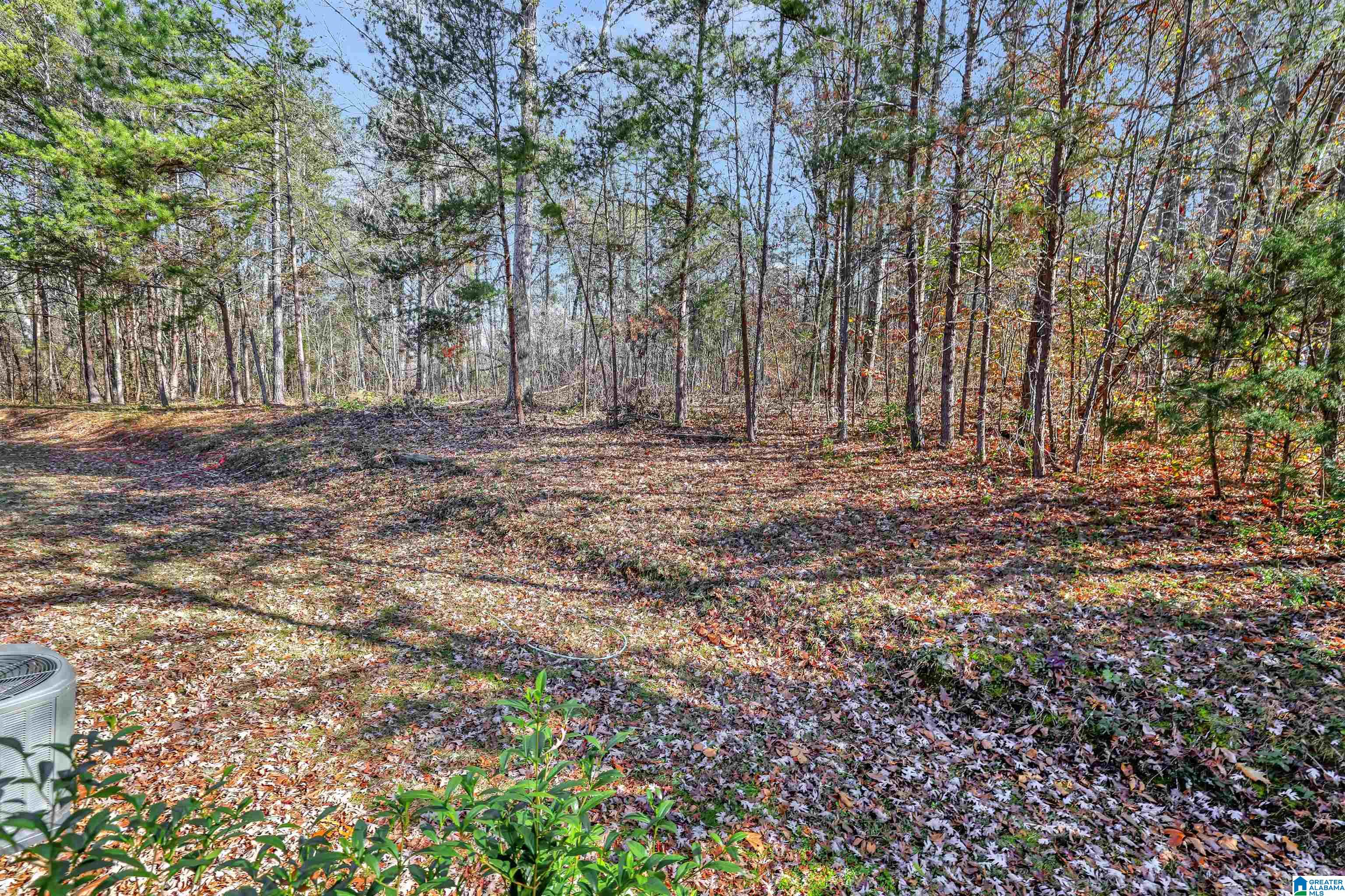 5406 Faucett Road Pinson, AL 35126 - Photo 23 of 24